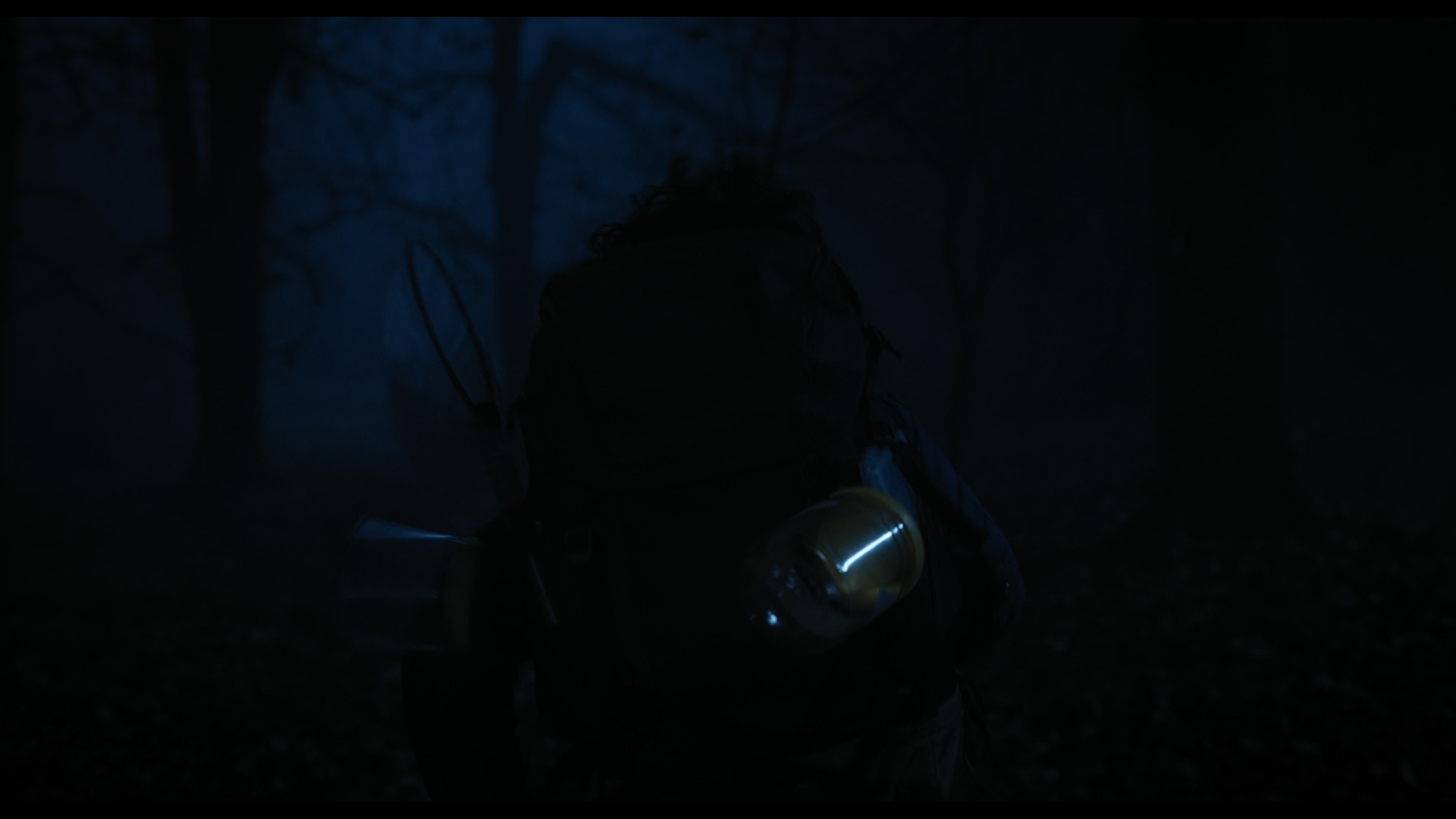 Wednesday S01E04 “Woe What a Night” movie still 5716