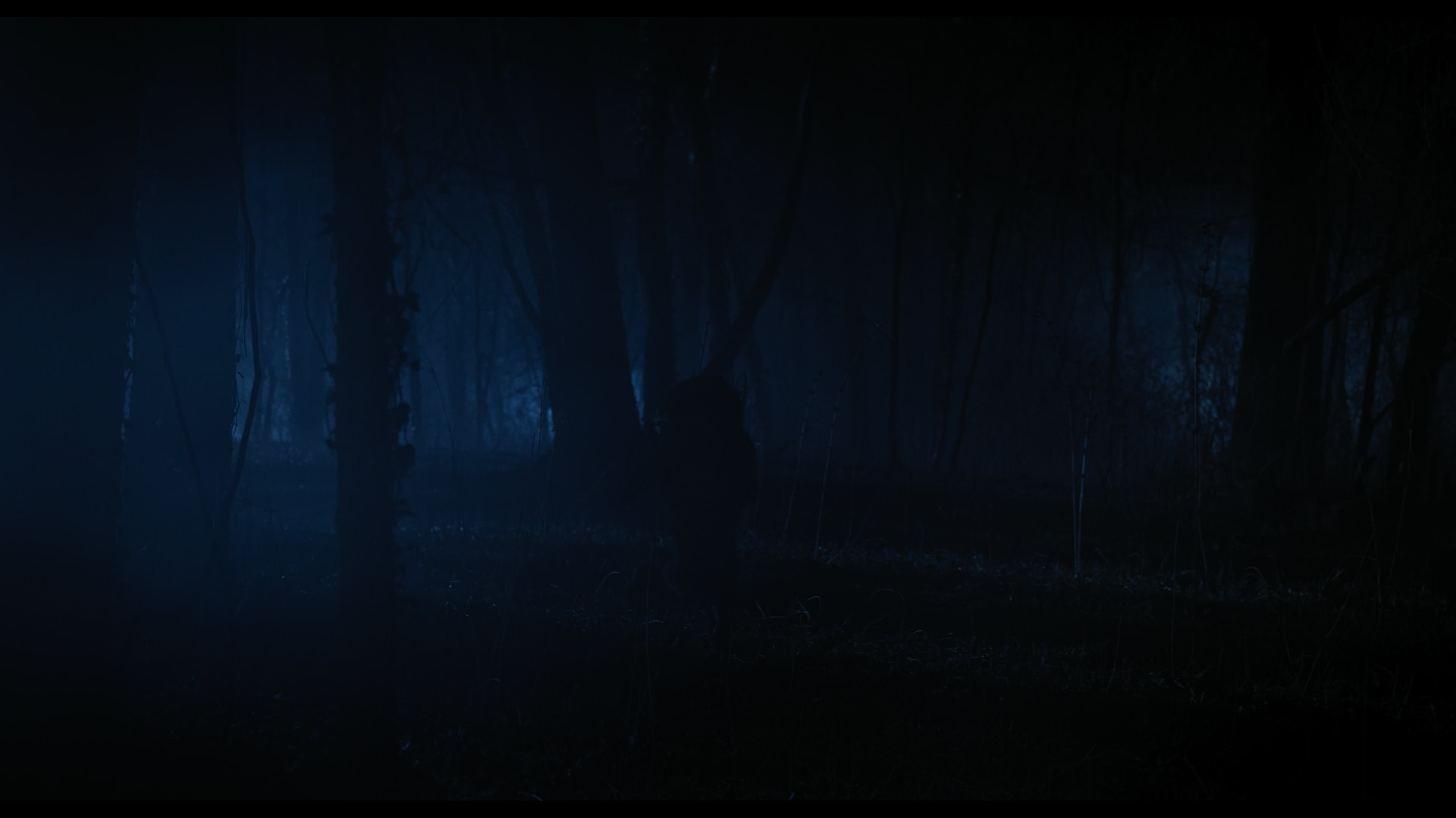 Wednesday S01E04 “Woe What a Night” HD screenshot 5717