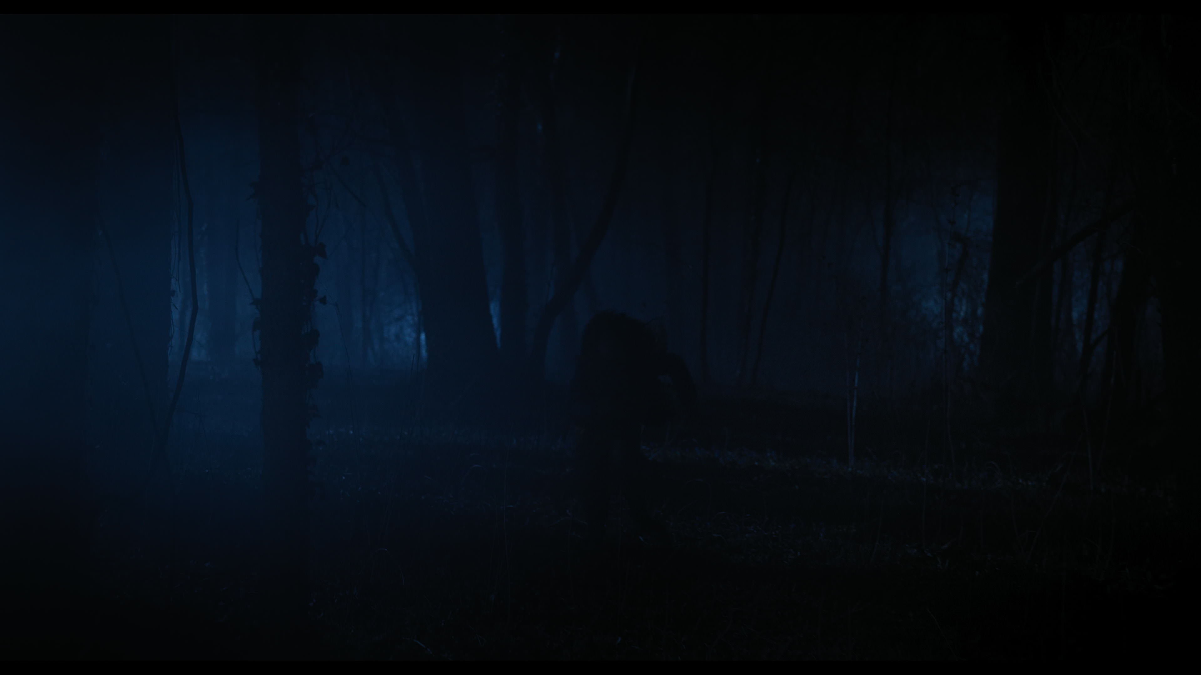 Wednesday S01E04 “Woe What a Night” screencap 5718