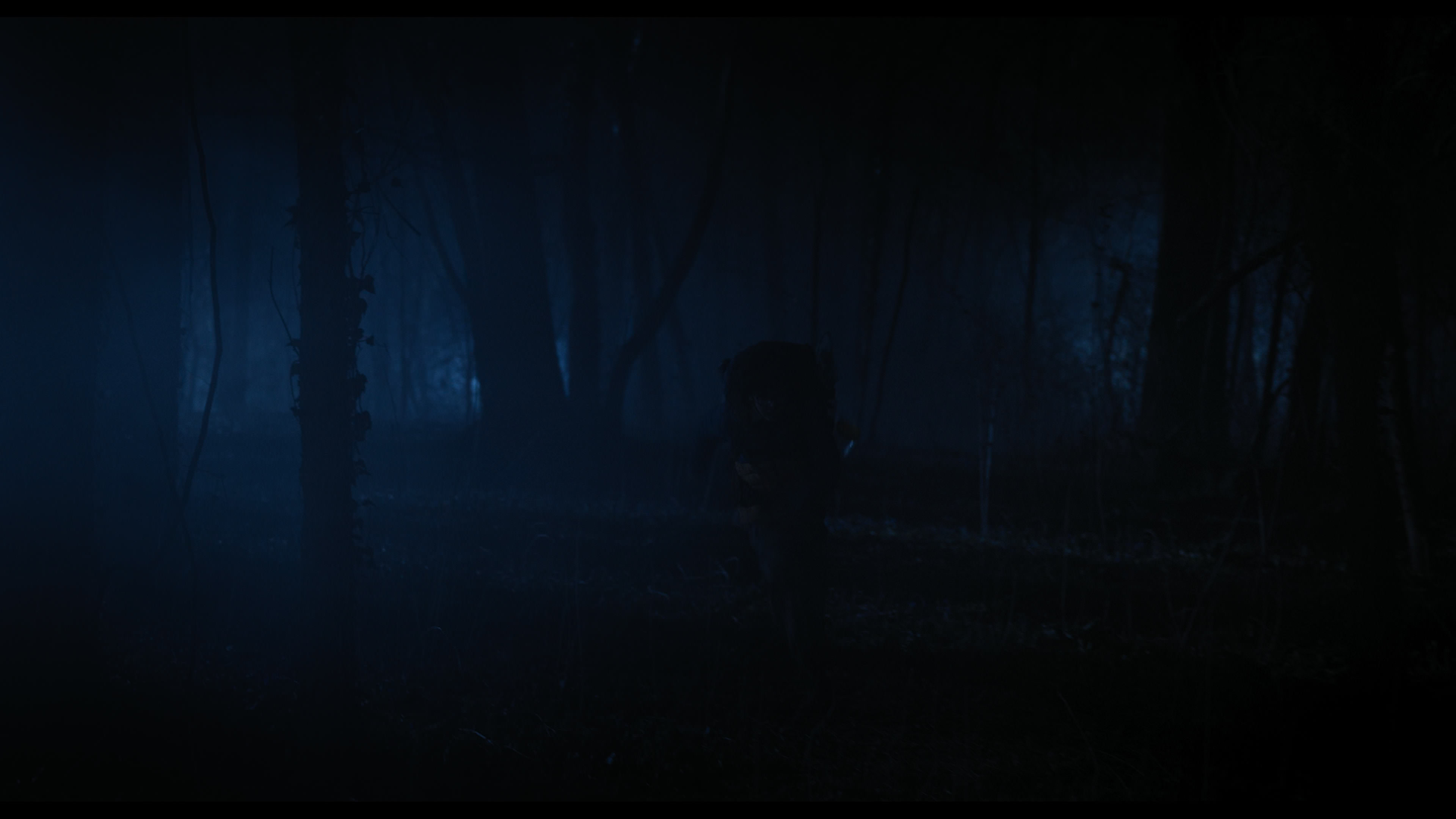 Wednesday S01E04 “Woe What a Night” movie still 5719