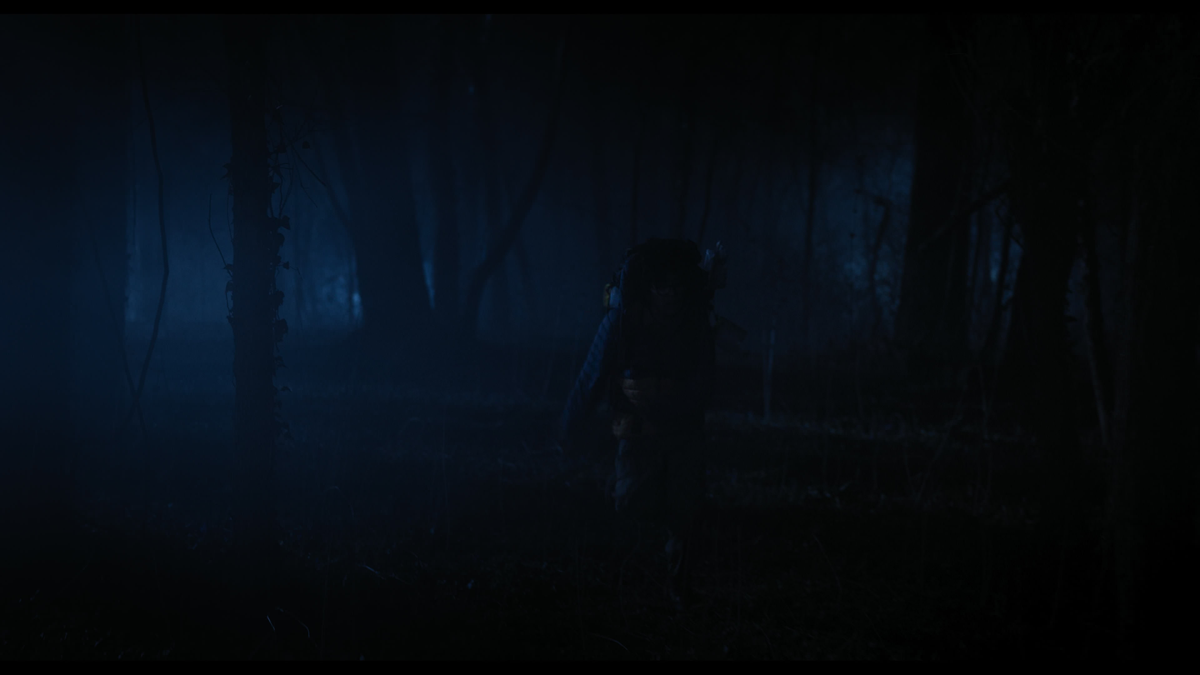 Wednesday S01E04 “Woe What a Night” HD screenshot 5720