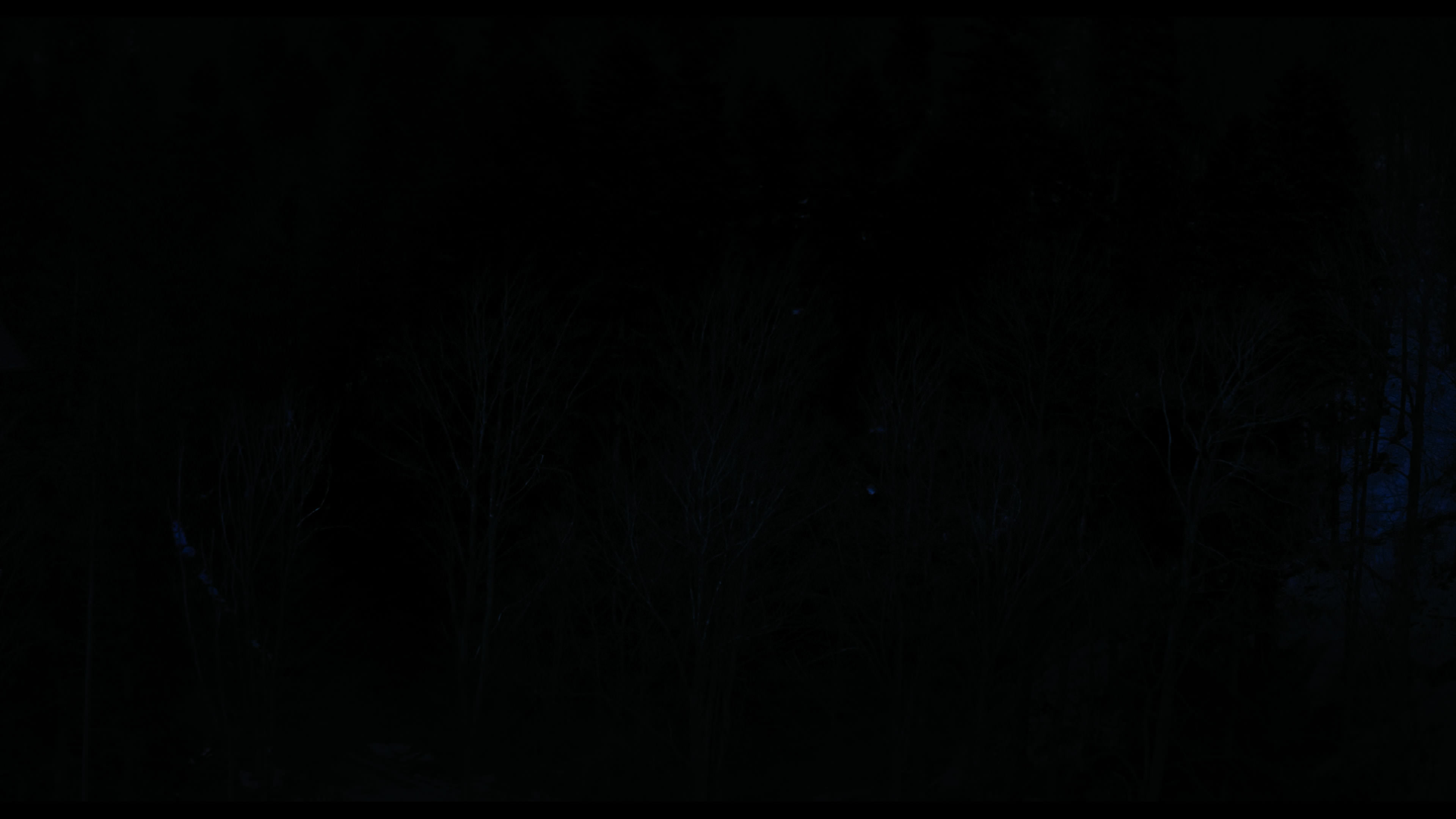 Wednesday S01E04 “Woe What a Night” movie still 6349