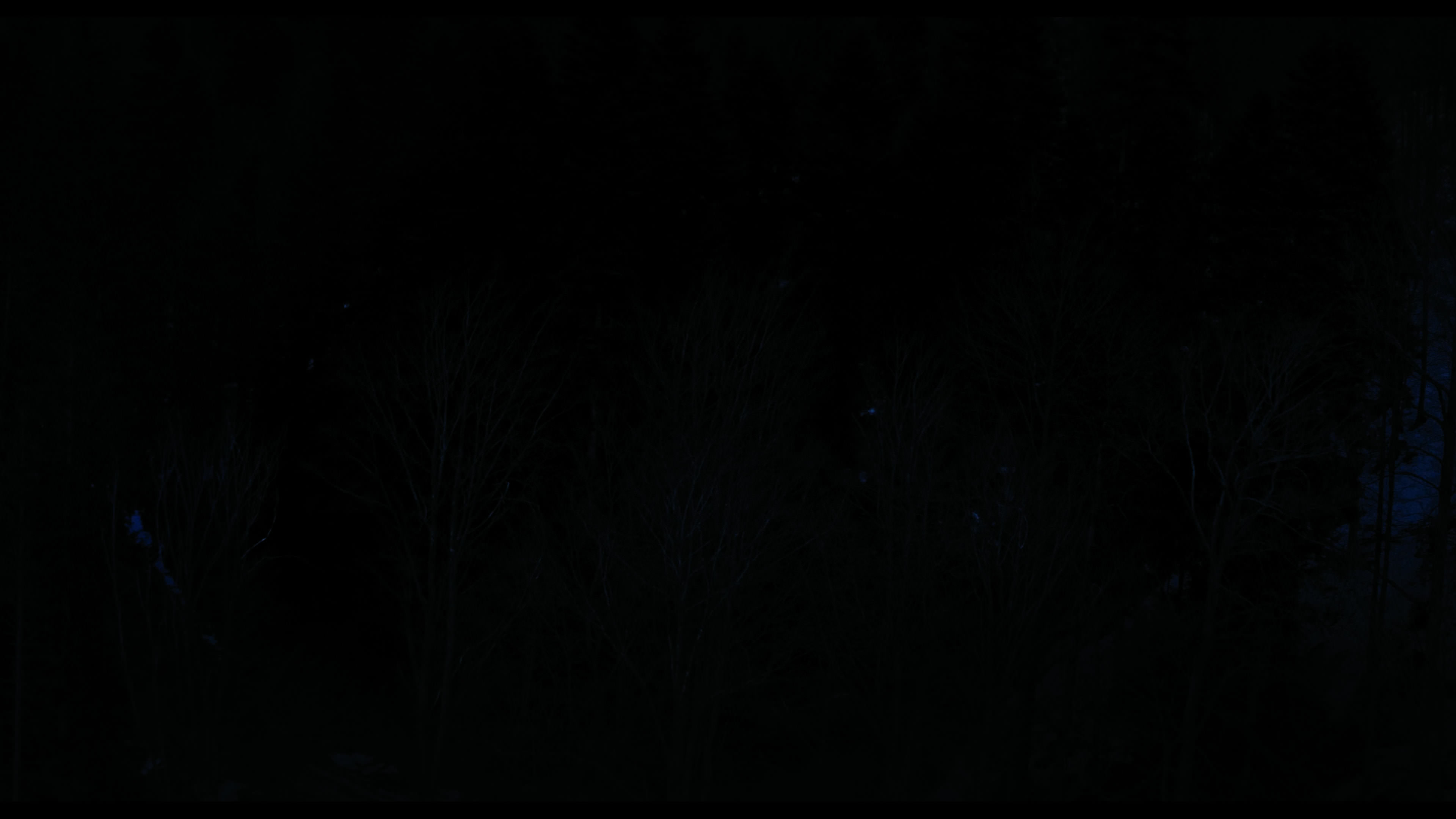 Wednesday S01E04 “Woe What a Night” HD screenshot 6350
