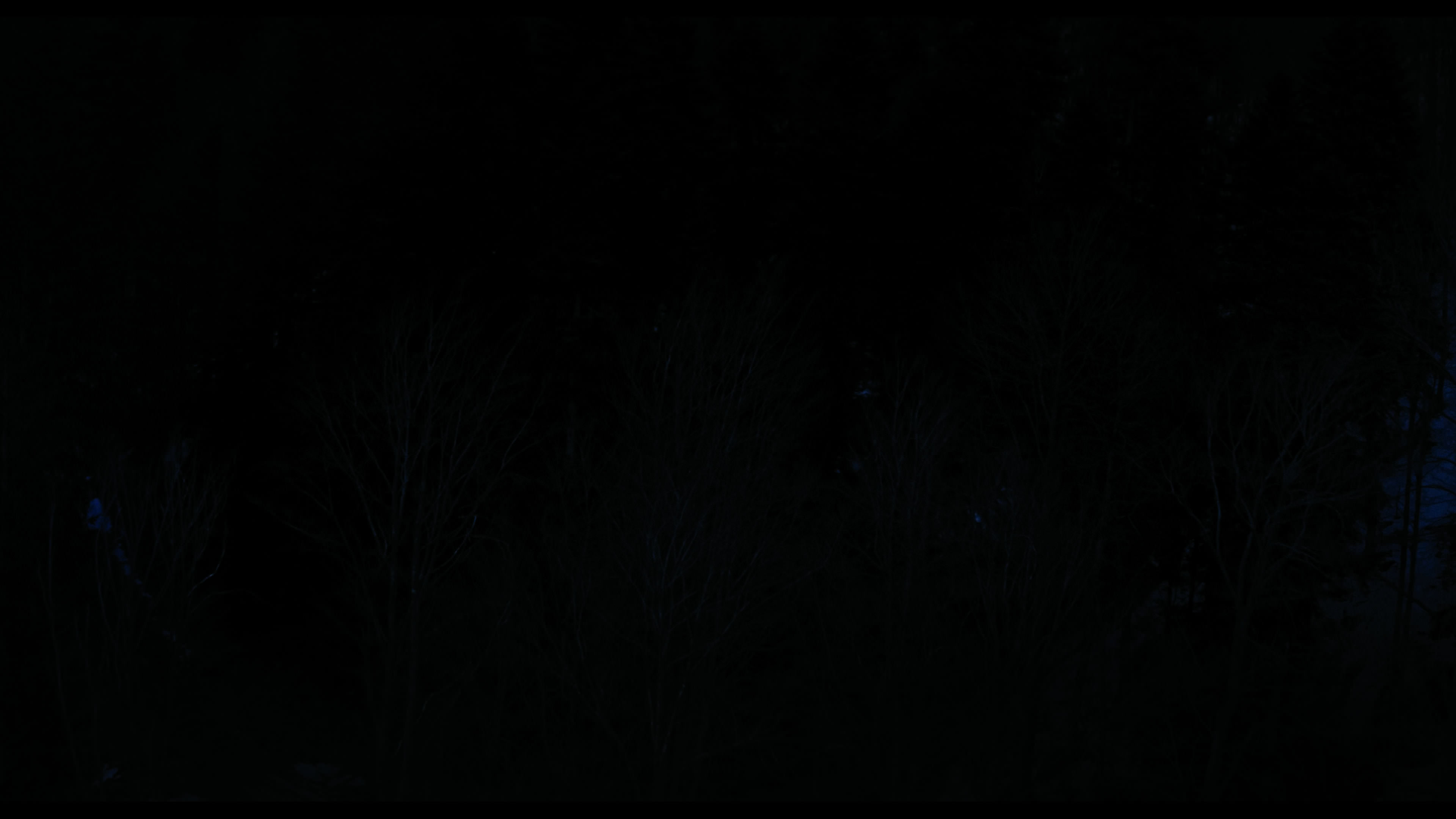 Wednesday S01E04 “Woe What a Night” screencap 6351