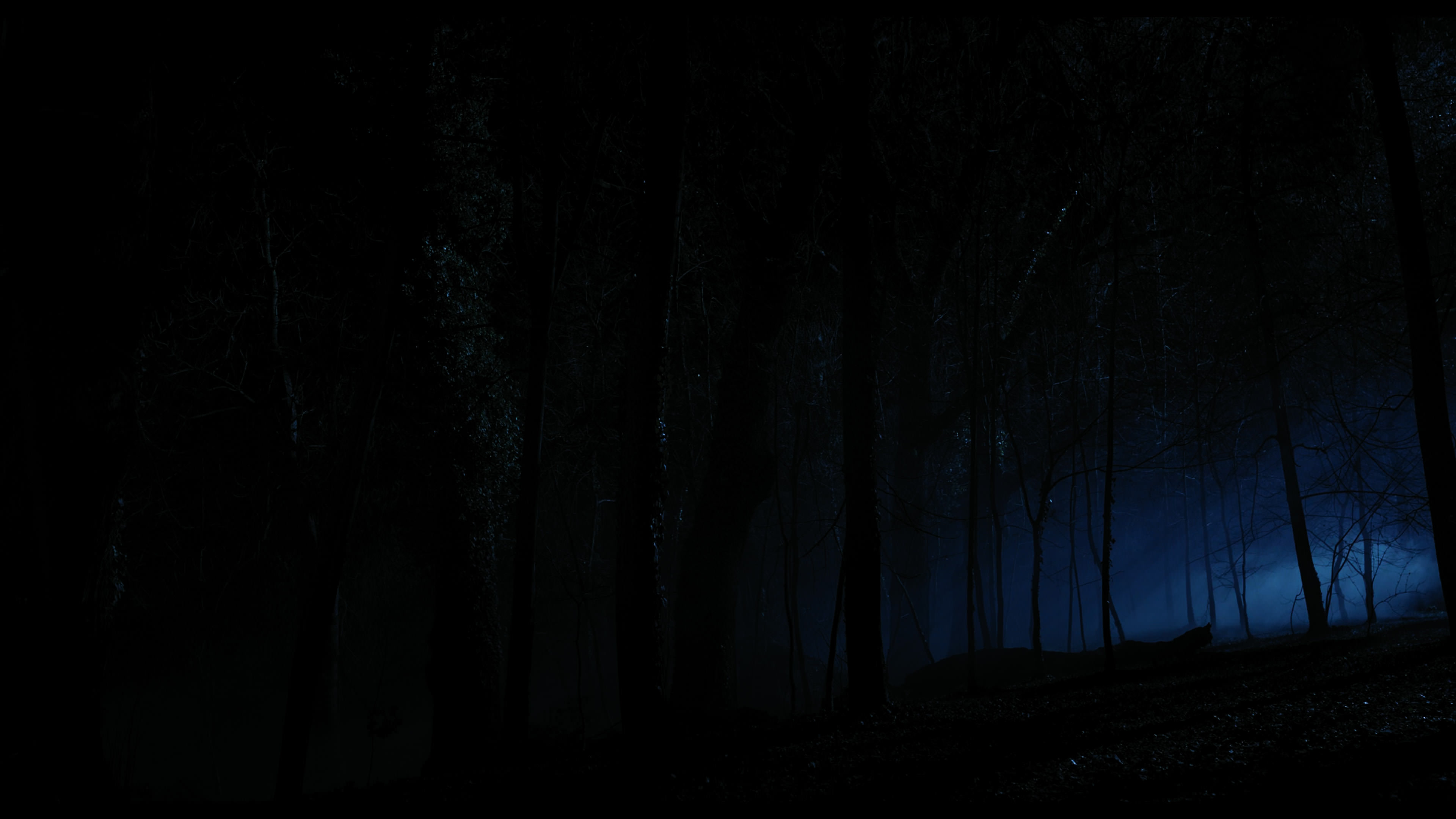 Wednesday S01E04 “Woe What a Night” movie still 6352