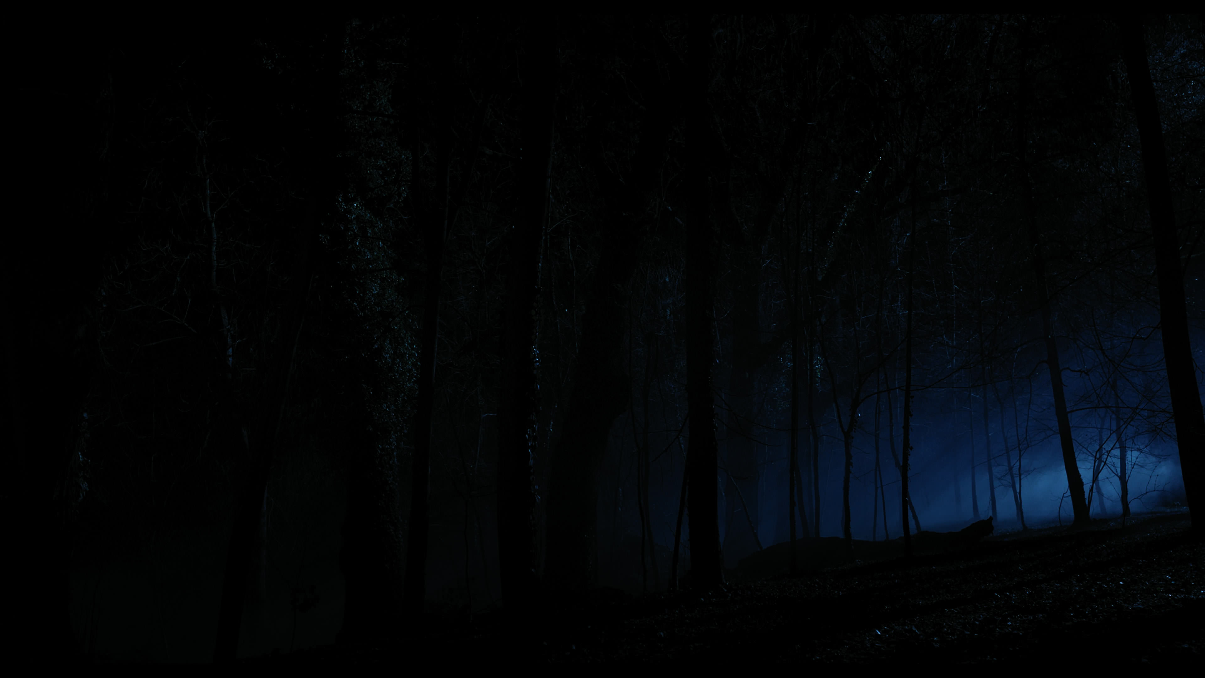 Wednesday S01E04 “Woe What a Night” screencap 6354