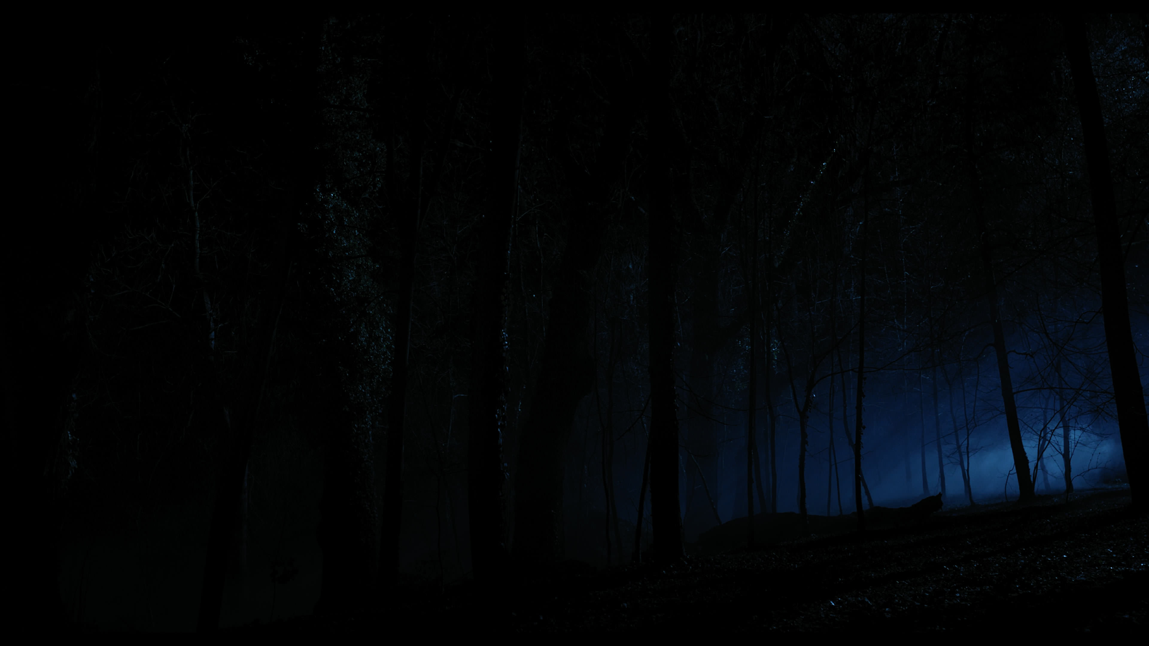 Wednesday S01E04 “Woe What a Night” movie still 6355