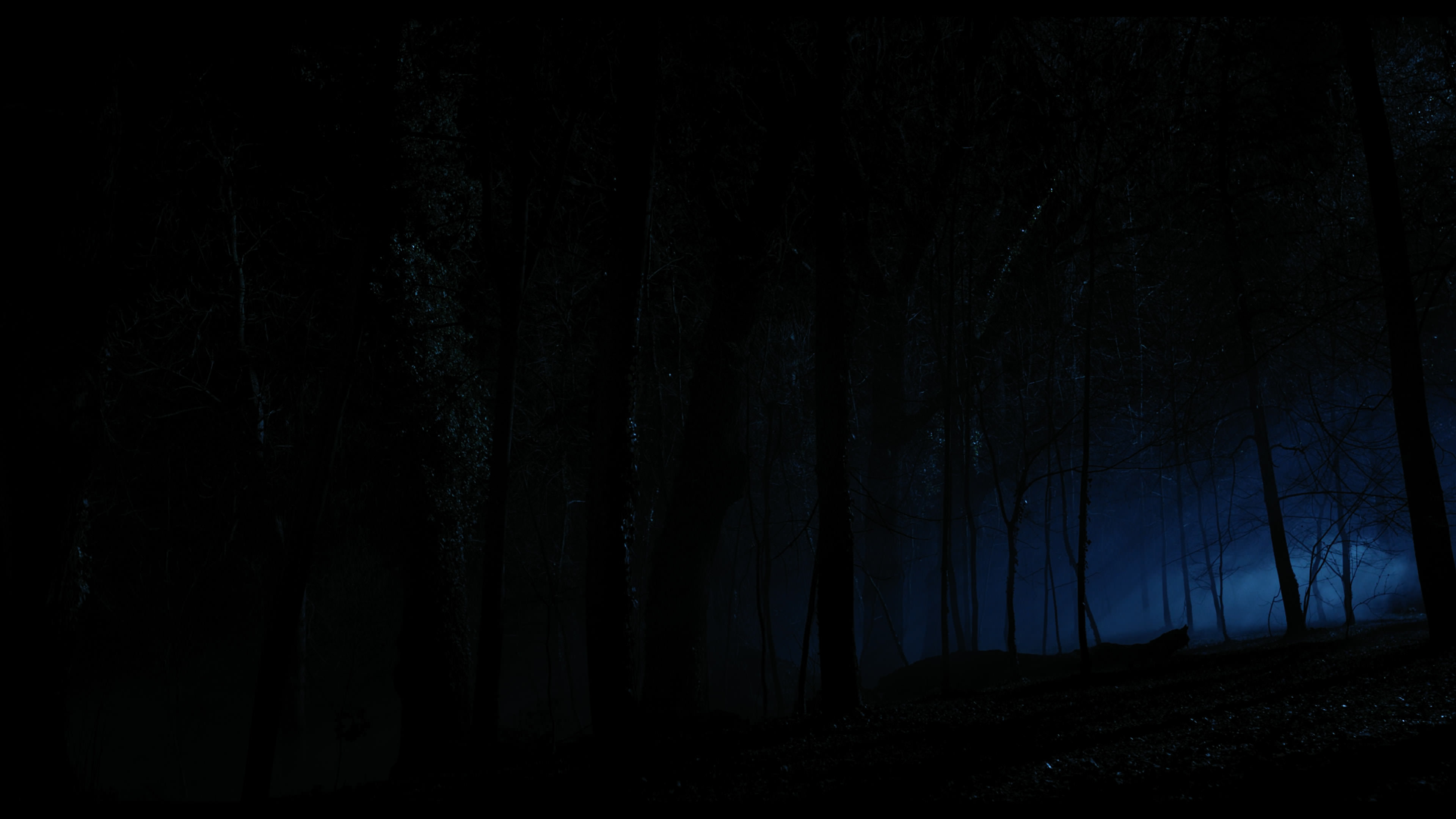 Wednesday S01E04 “Woe What a Night” HD screenshot 6356