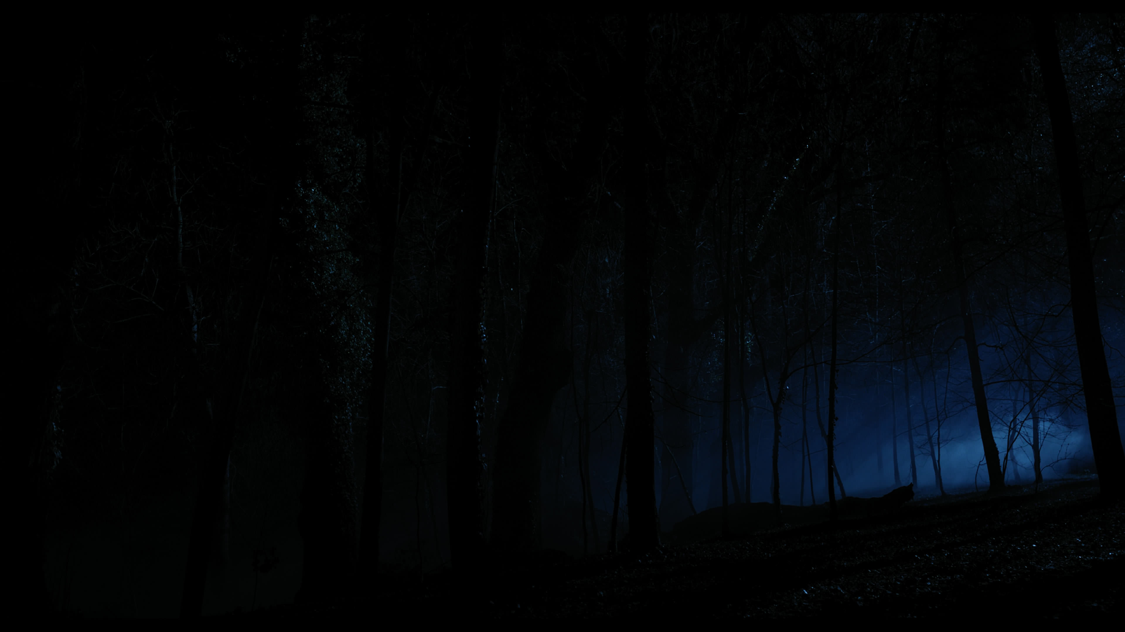 Wednesday S01E04 “Woe What a Night” screencap 6357