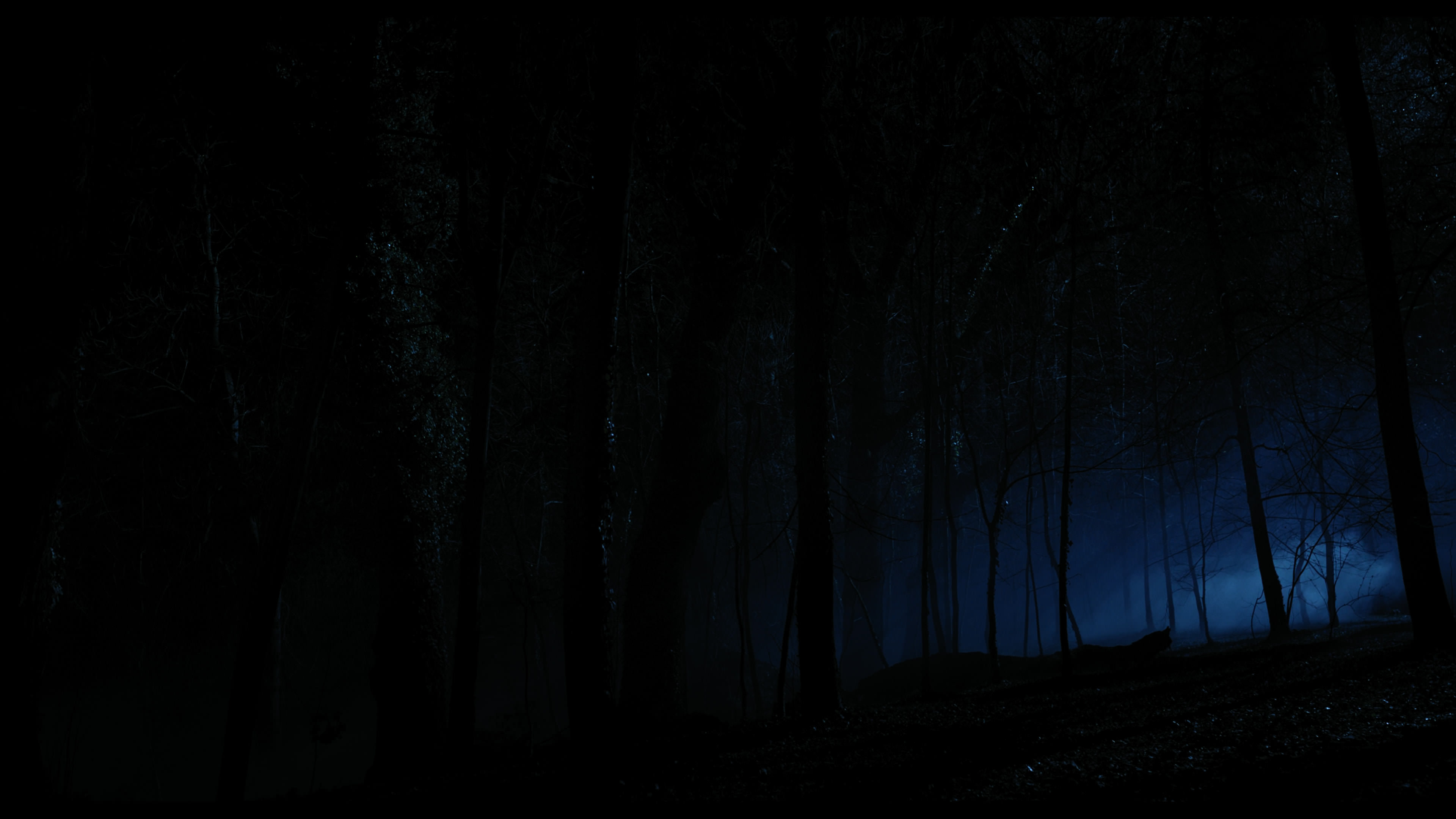 Wednesday S01E04 “Woe What a Night” HD screenshot 6359