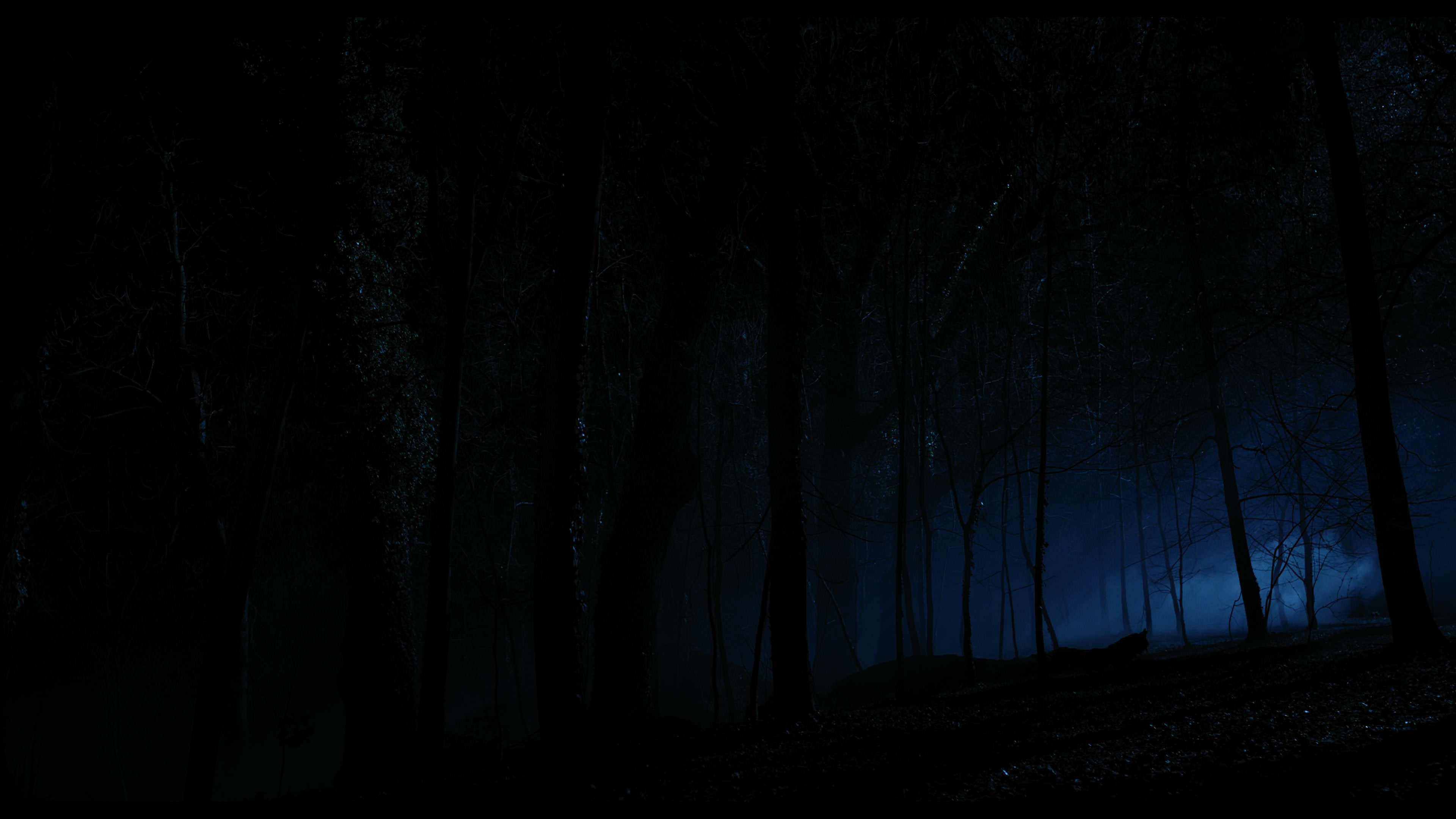 Wednesday S01E04 “Woe What a Night” screencap 6363
