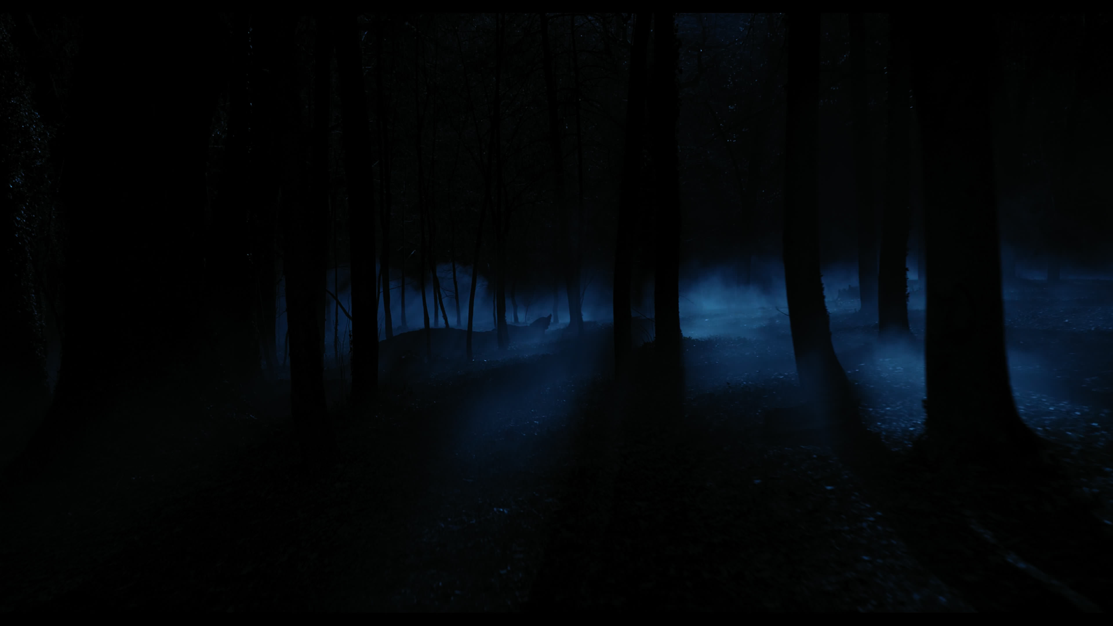 Wednesday S01E04 “Woe What a Night” screencap 6390