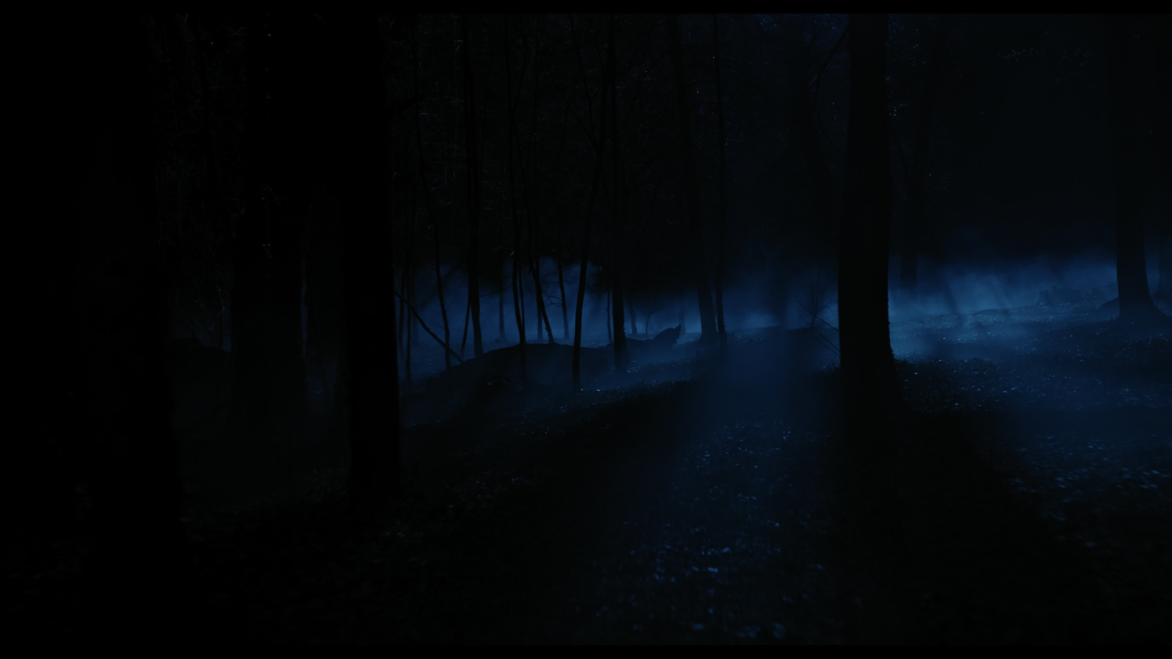 Wednesday S01E04 “Woe What a Night” screencap 6393