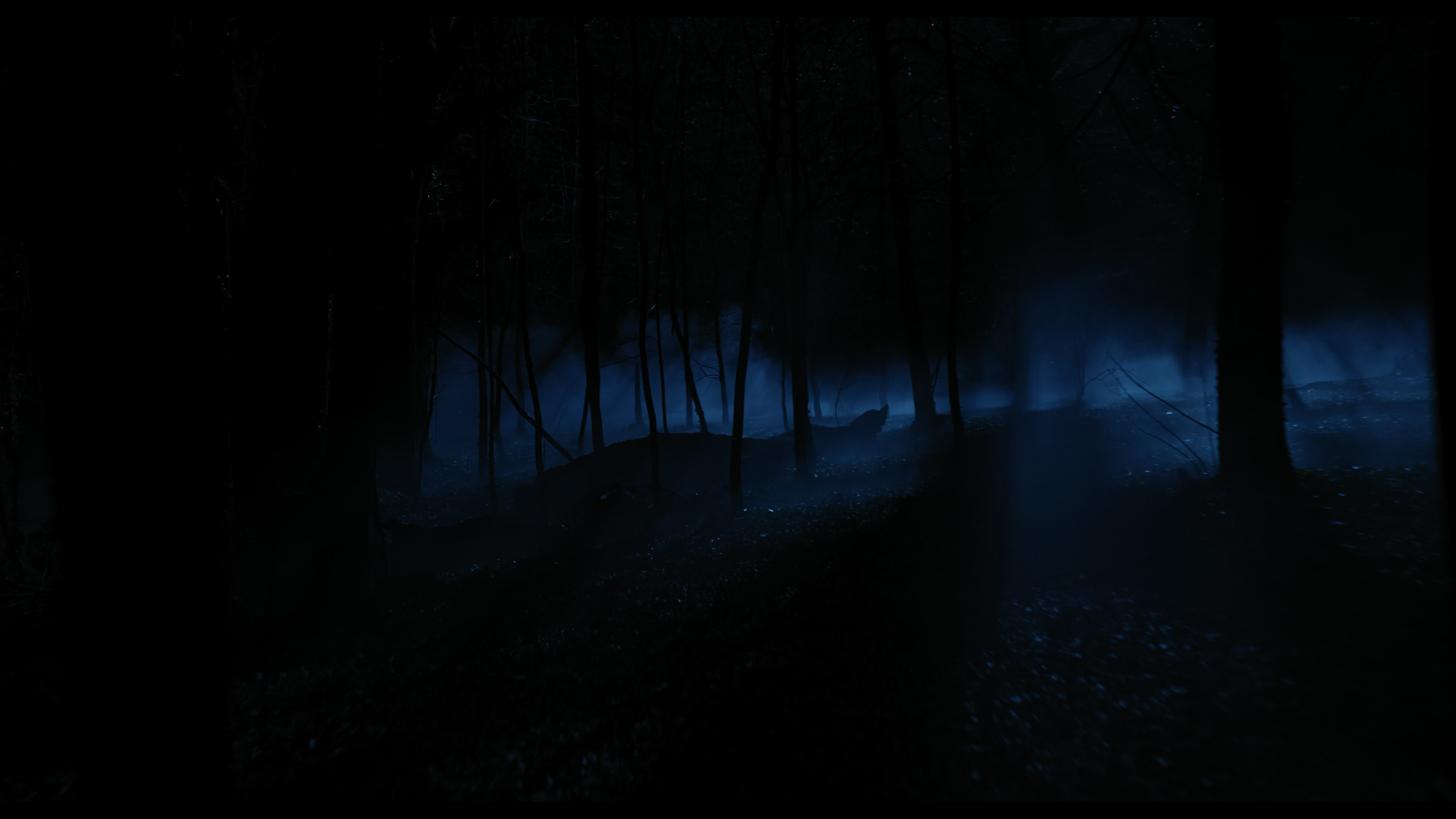 Wednesday S01E04 “Woe What a Night” HD screenshot 6395
