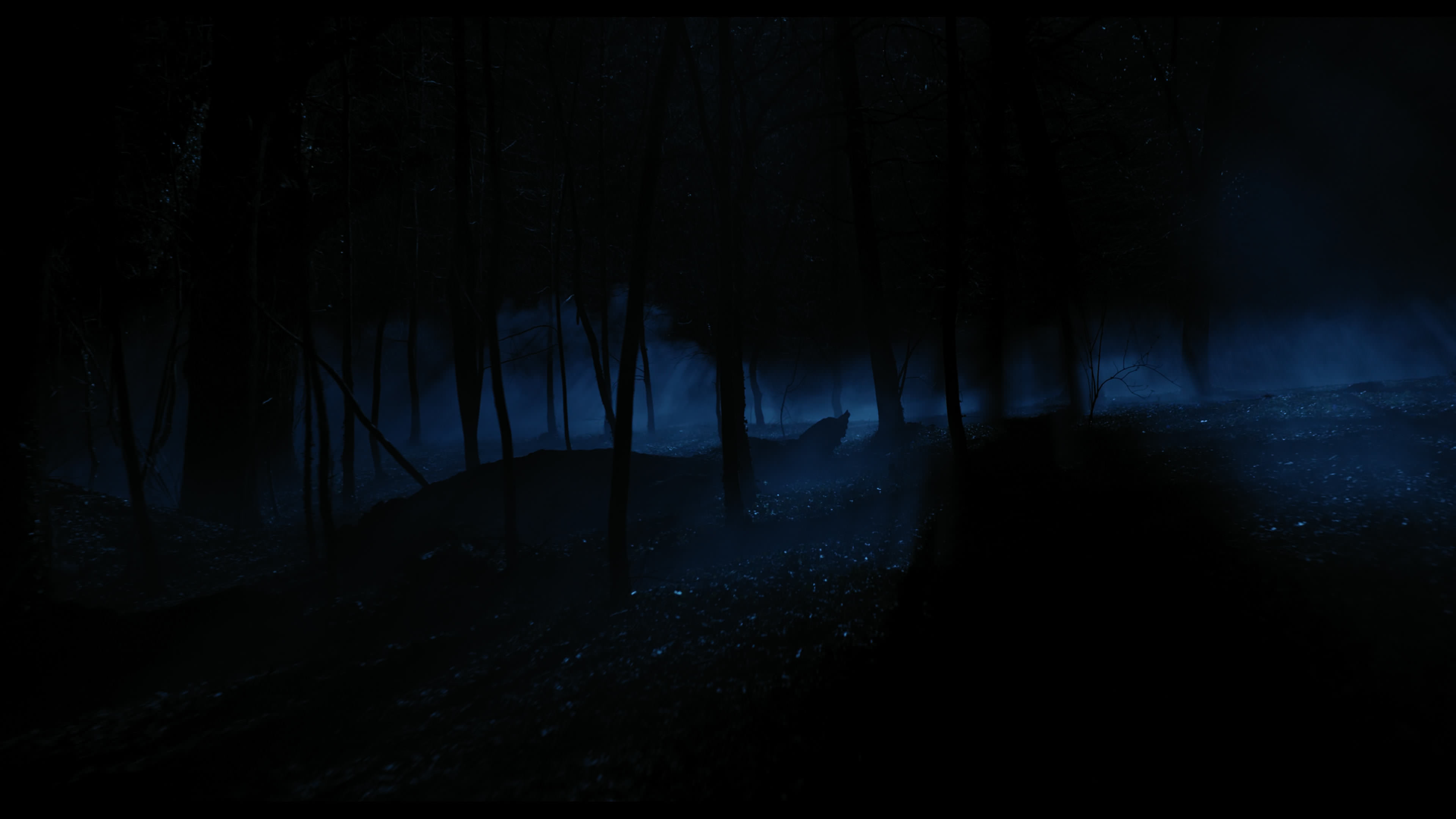 Wednesday S01E04 “Woe What a Night” HD screenshot 6398