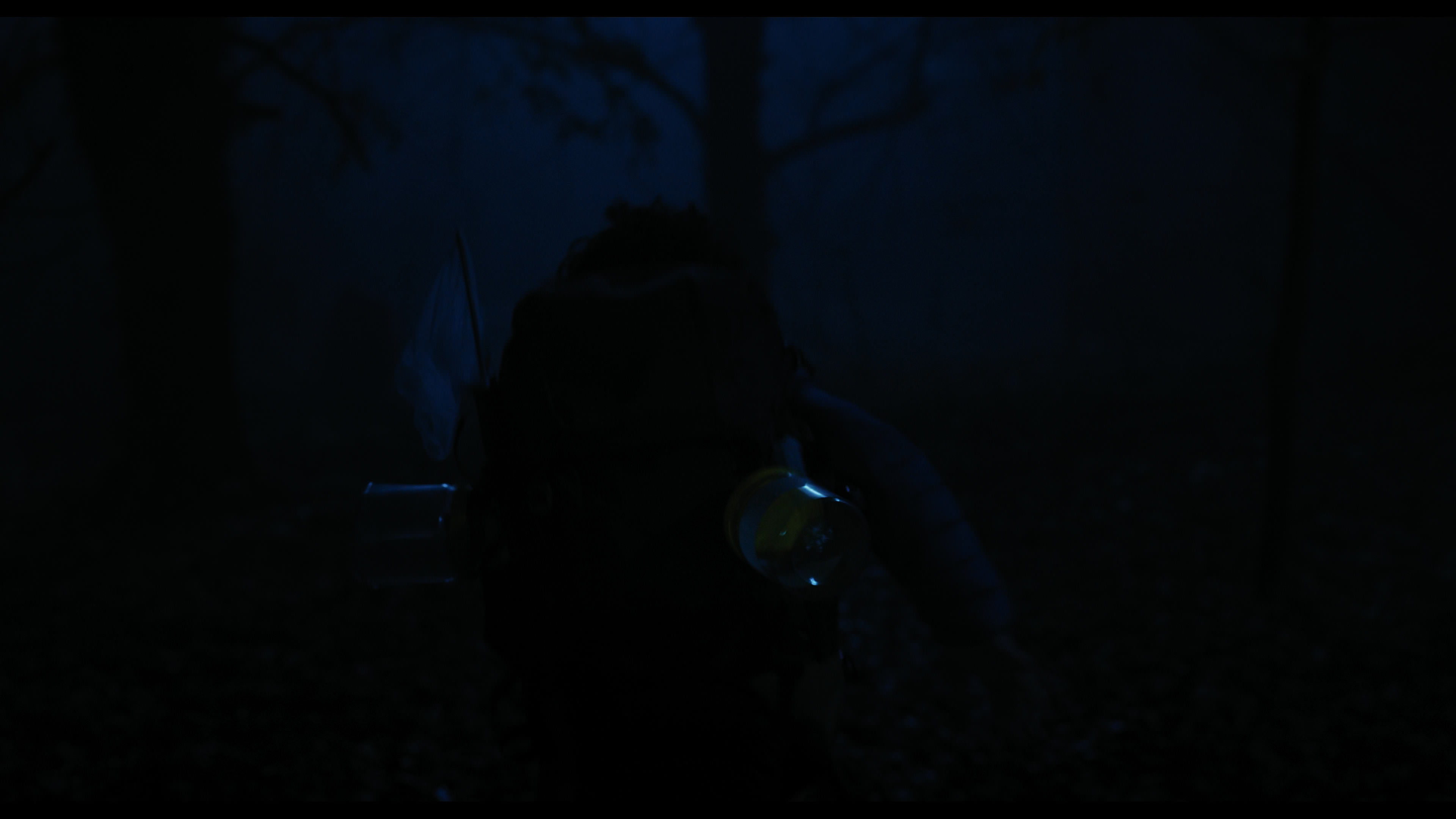 Wednesday S01E04 “Woe What a Night” HD screenshot 6401