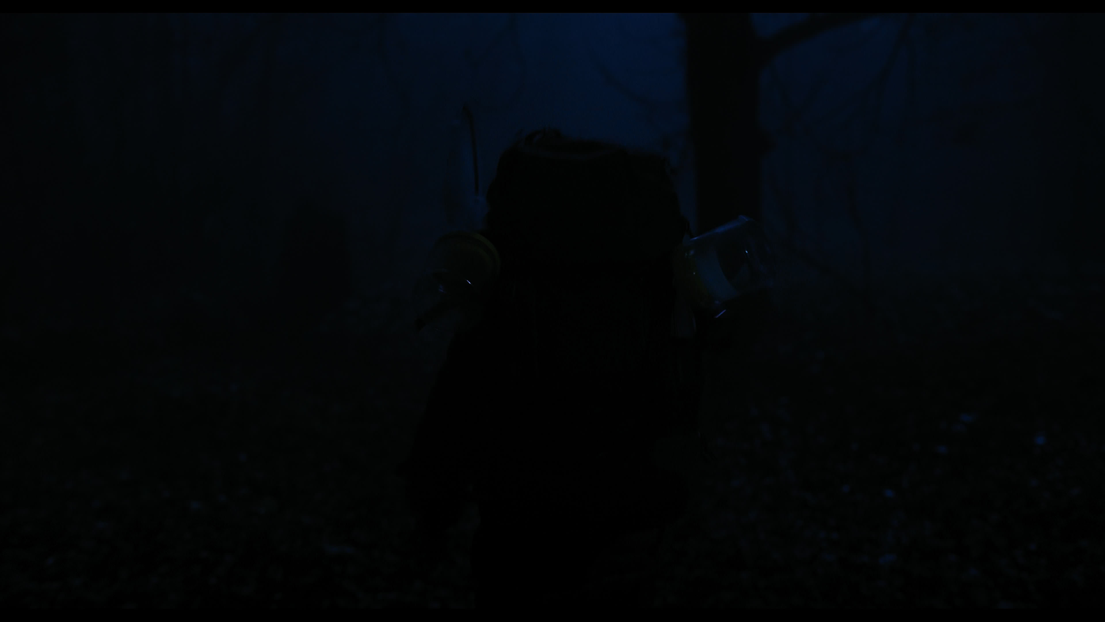 Wednesday S01E04 “Woe What a Night” movie still 6406