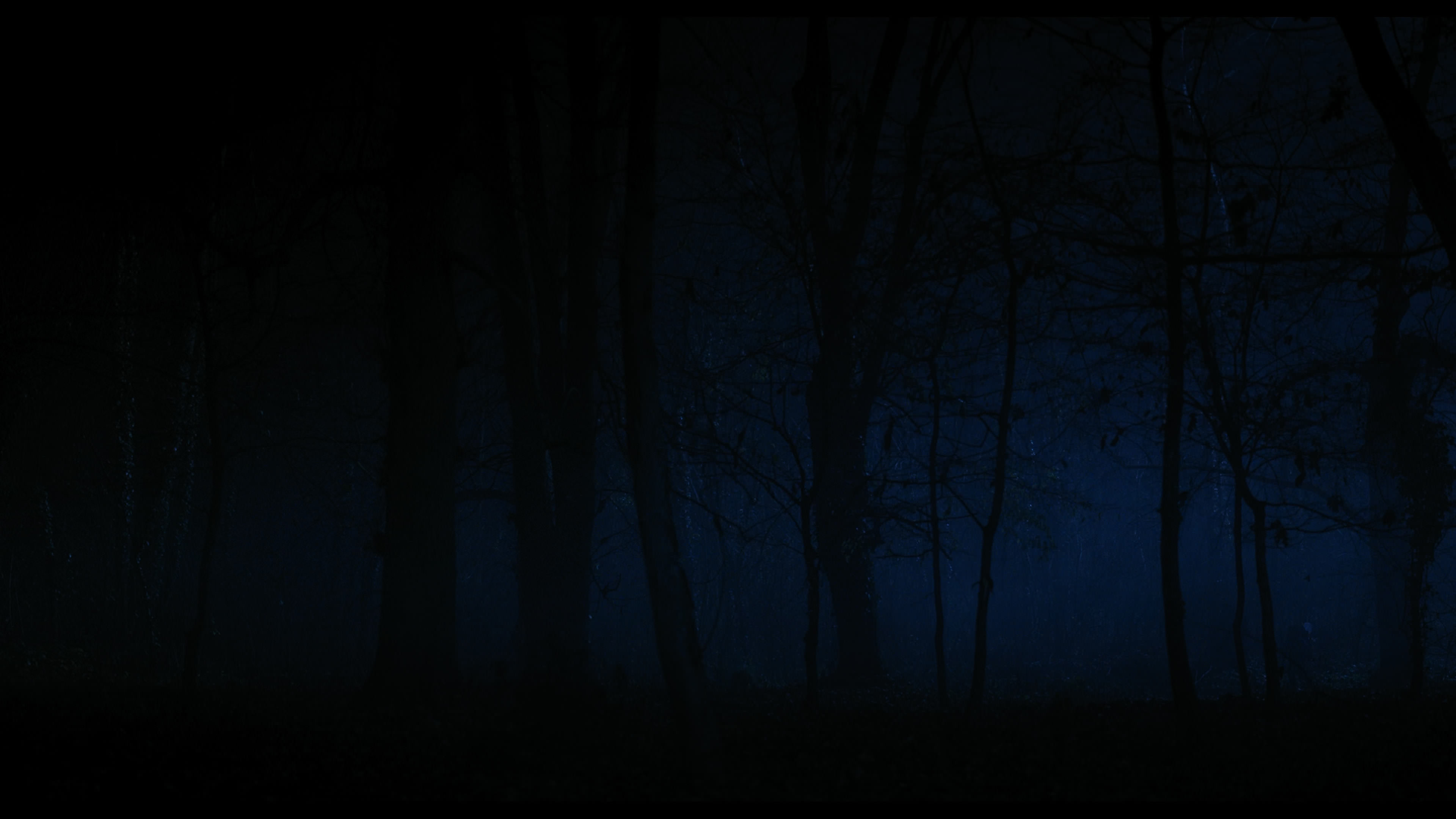 Wednesday S01E04 “Woe What a Night” screencap 6411