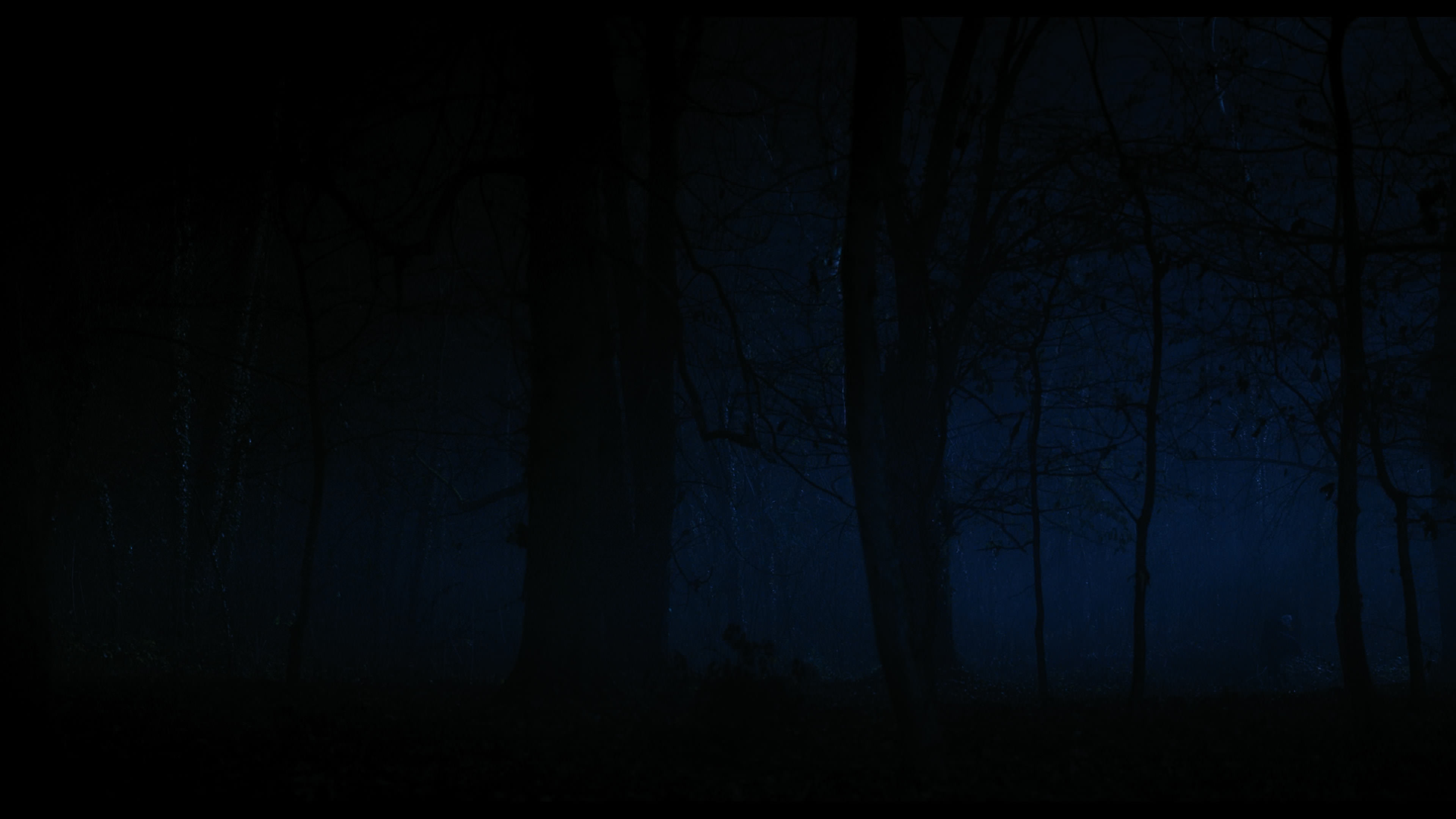 Wednesday S01E04 “Woe What a Night” screencap 6414