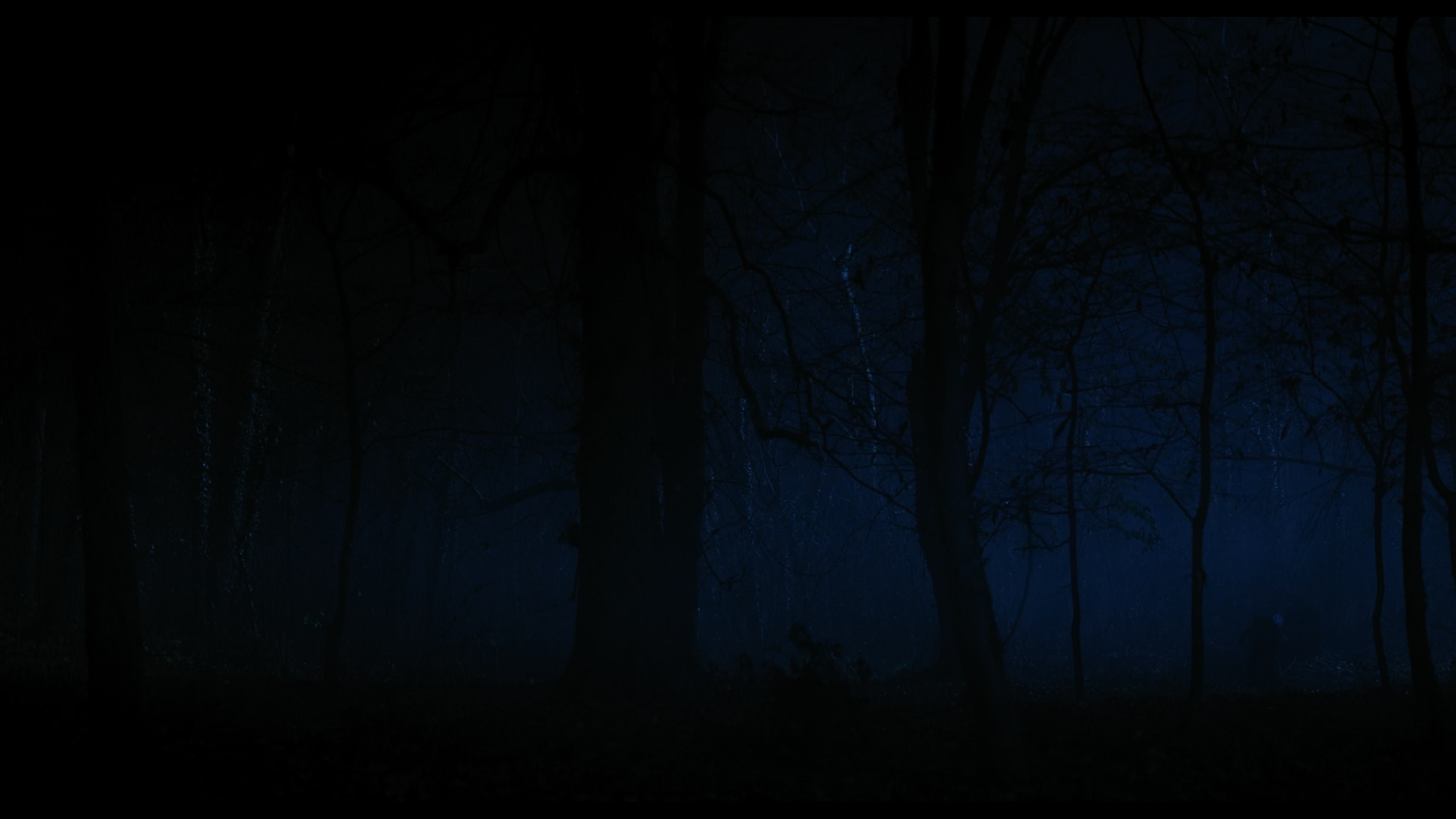 Wednesday S01E04 “Woe What a Night” movie still 6415