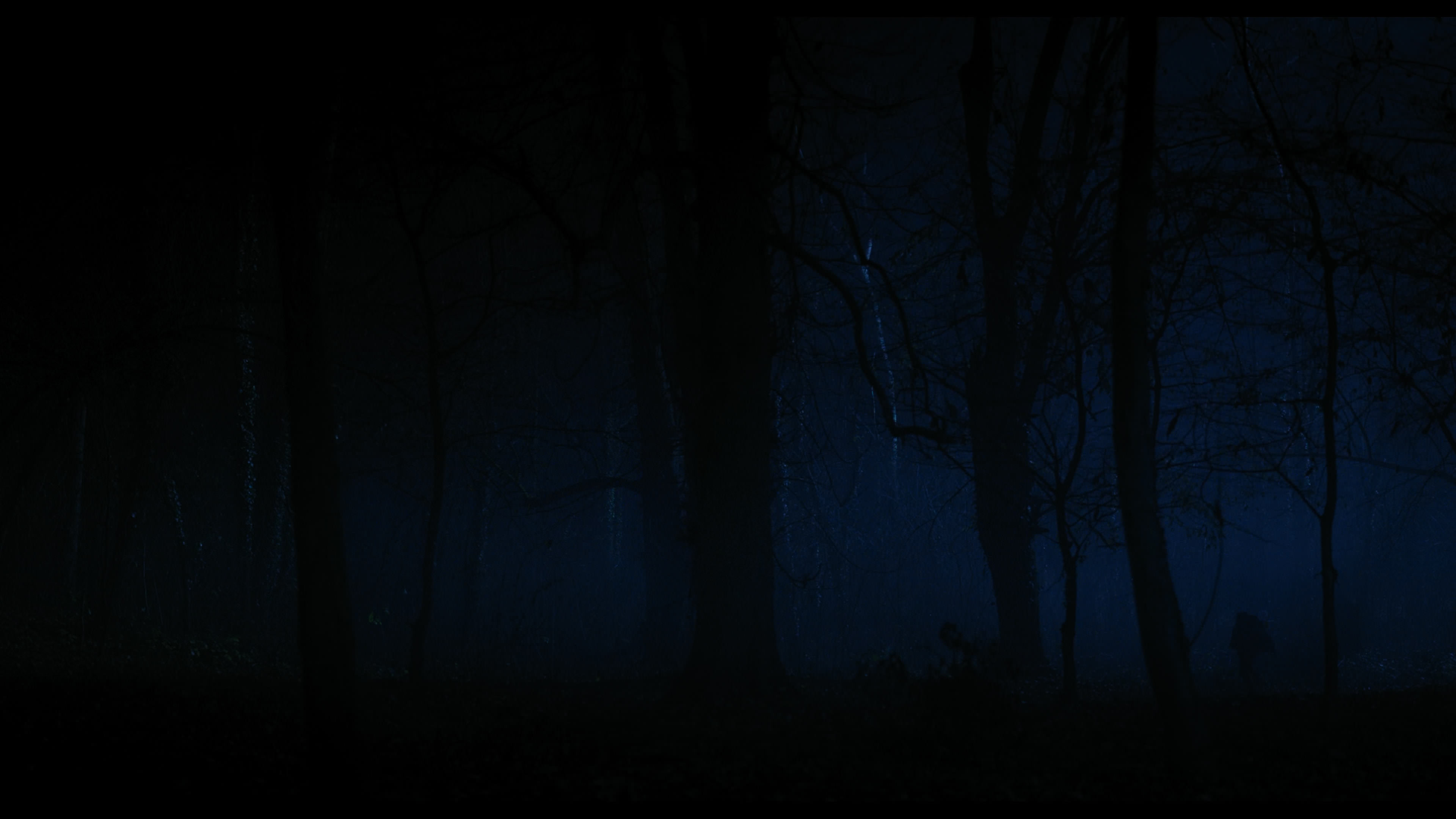 Wednesday S01E04 “Woe What a Night” screencap 6417