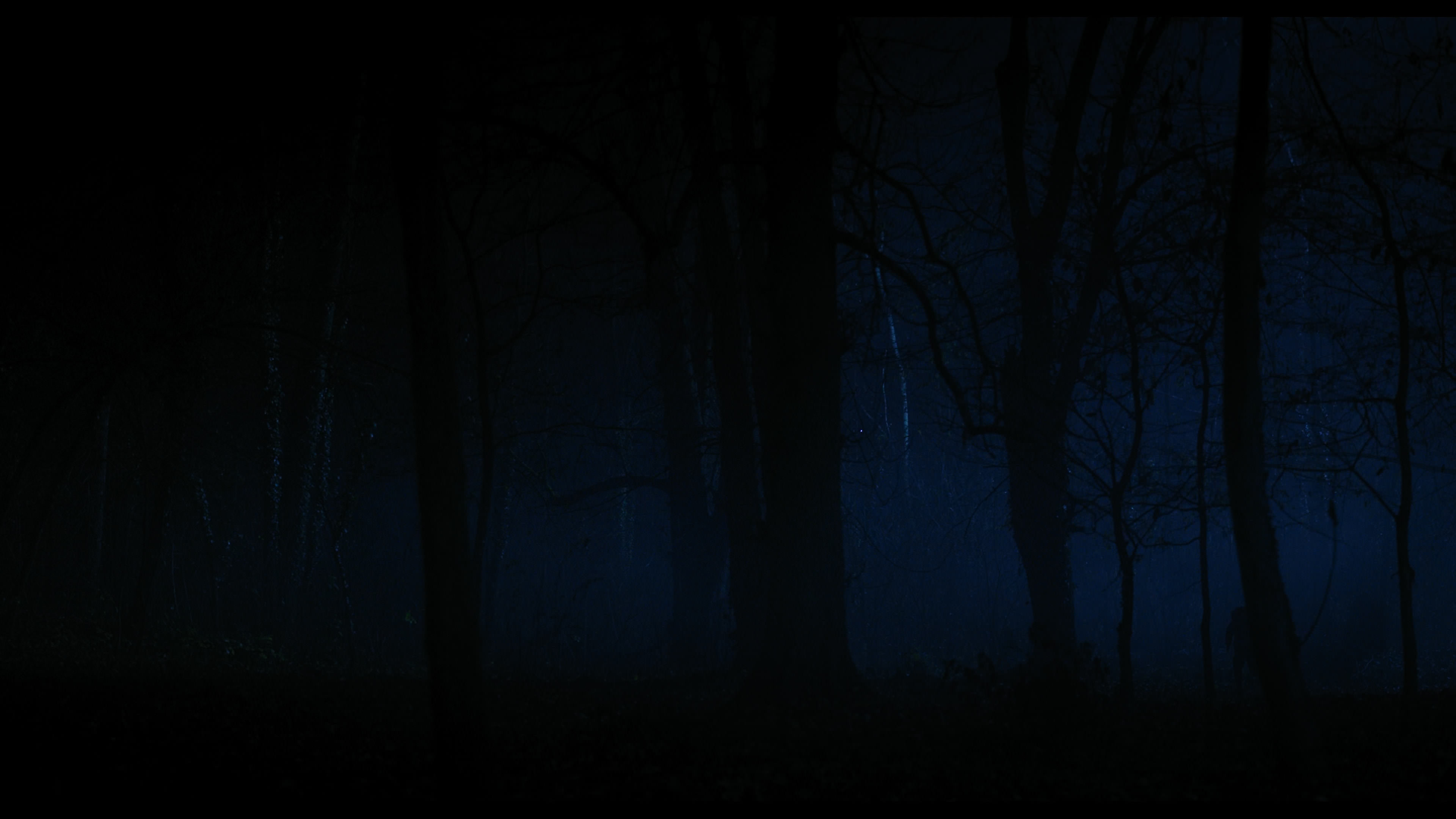 Wednesday S01E04 “Woe What a Night” movie still 6418