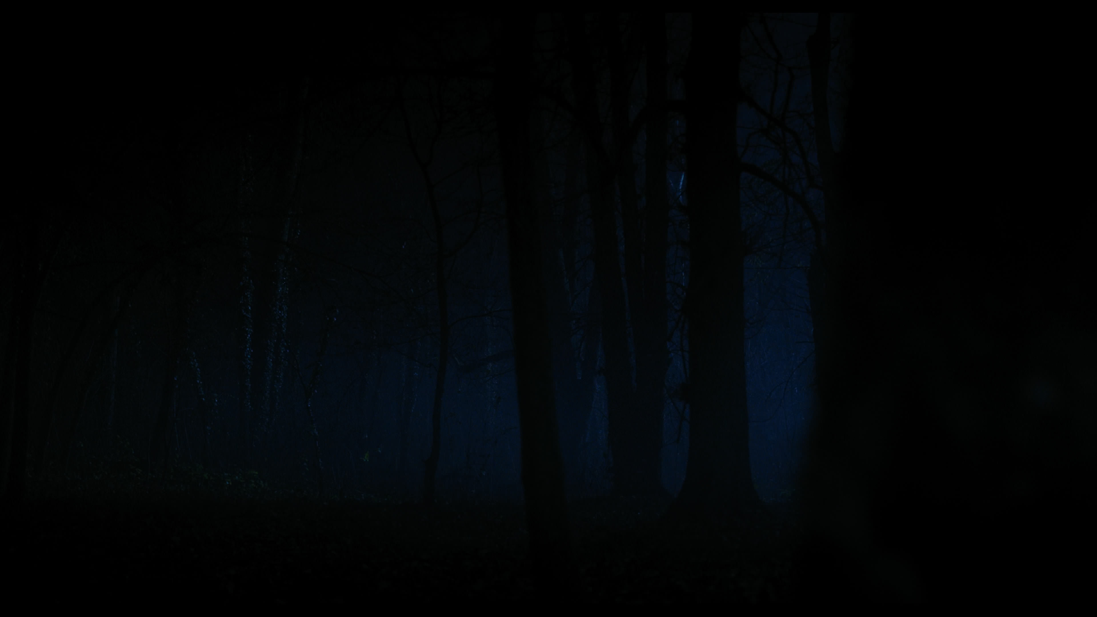 Wednesday S01E04 “Woe What a Night” screencap 6420