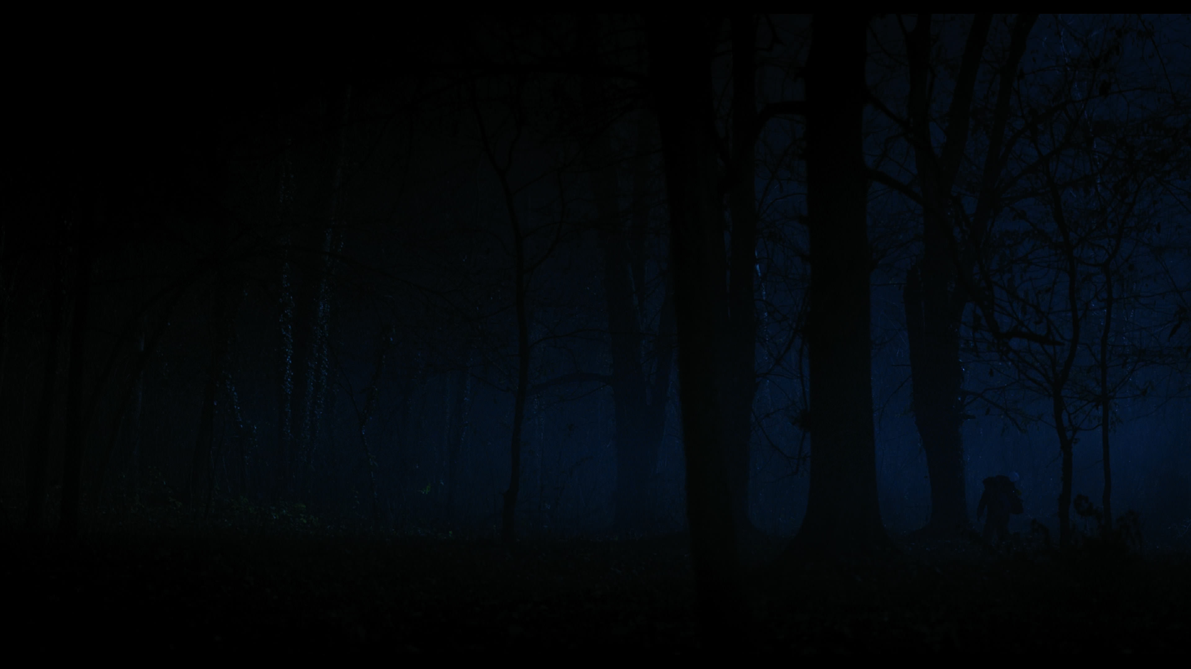 Wednesday S01E04 “Woe What a Night” movie still 6421