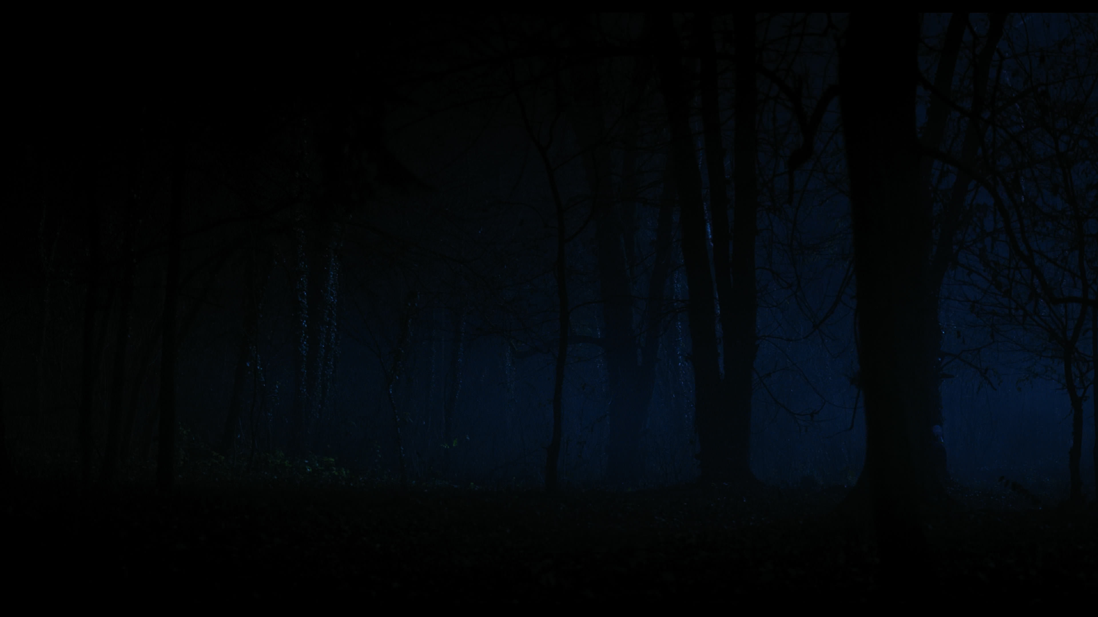 Wednesday S01E04 “Woe What a Night” screencap 6423