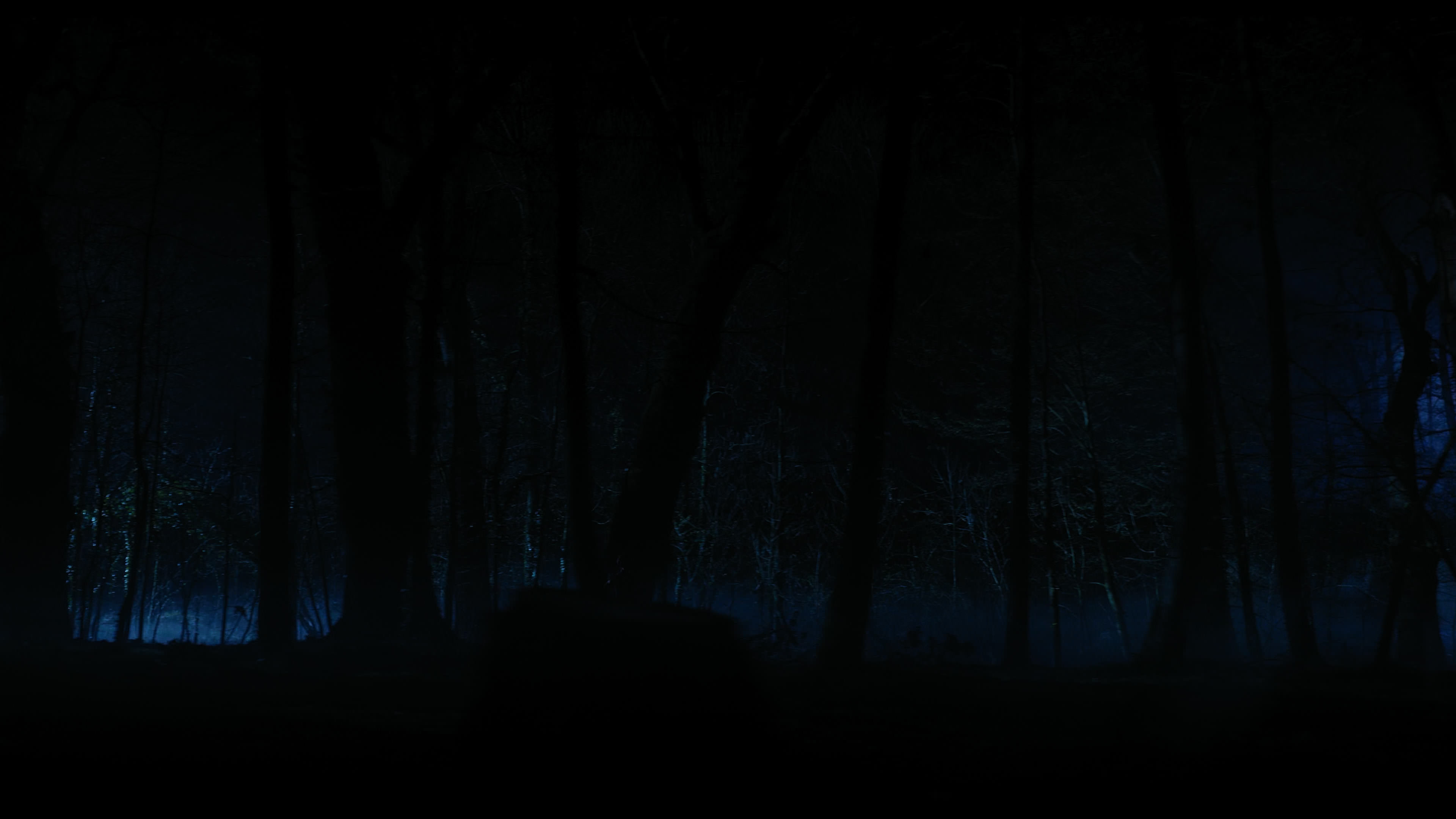 Wednesday S01E04 “Woe What a Night” movie still 6436