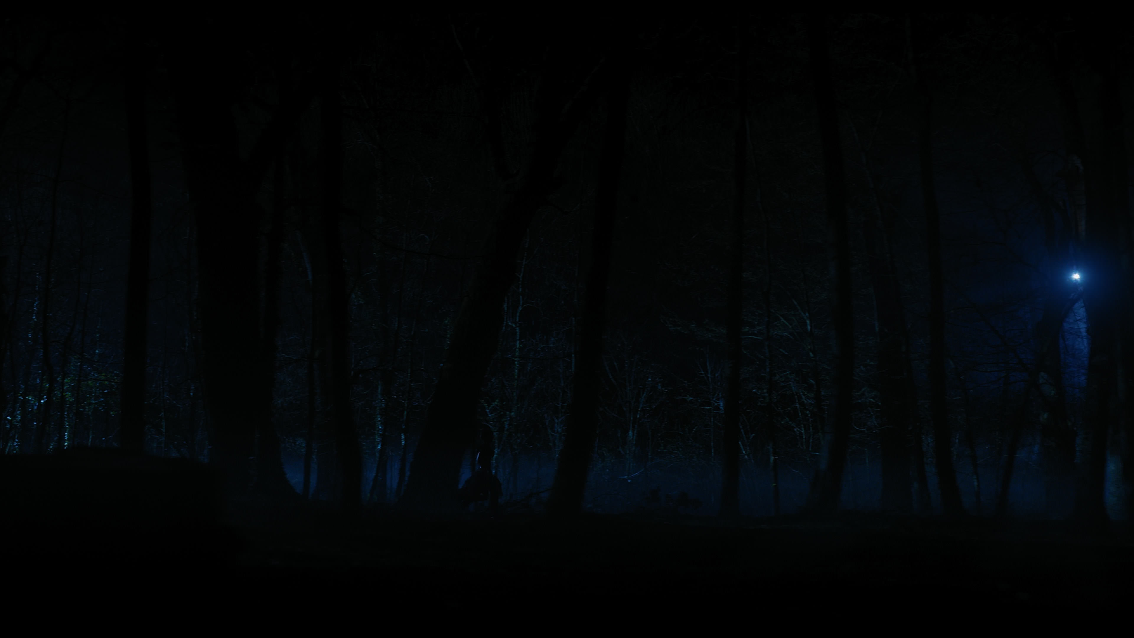 Wednesday S01E04 “Woe What a Night” HD screenshot 6437