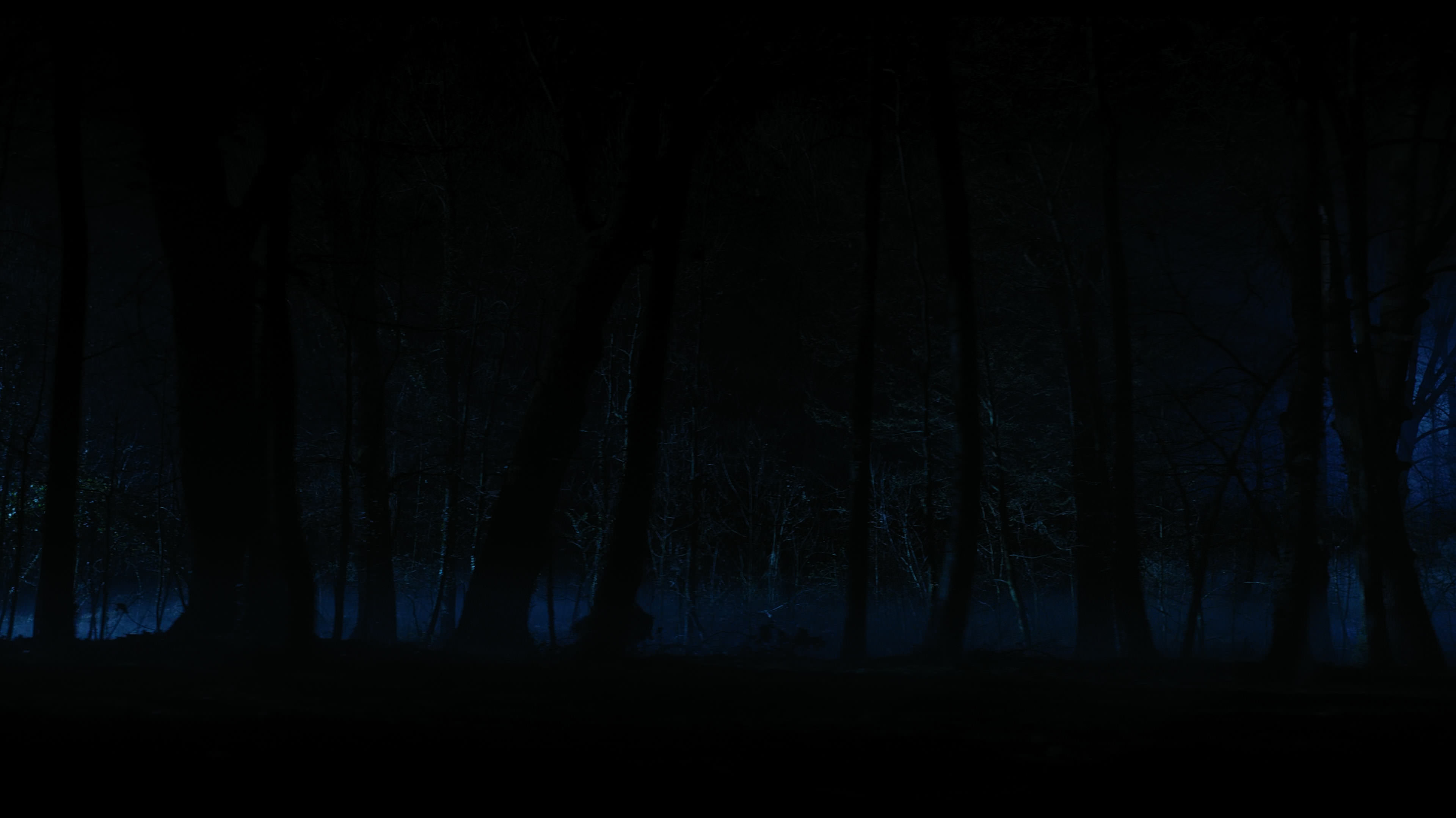 Wednesday S01E04 “Woe What a Night” screencap 6438