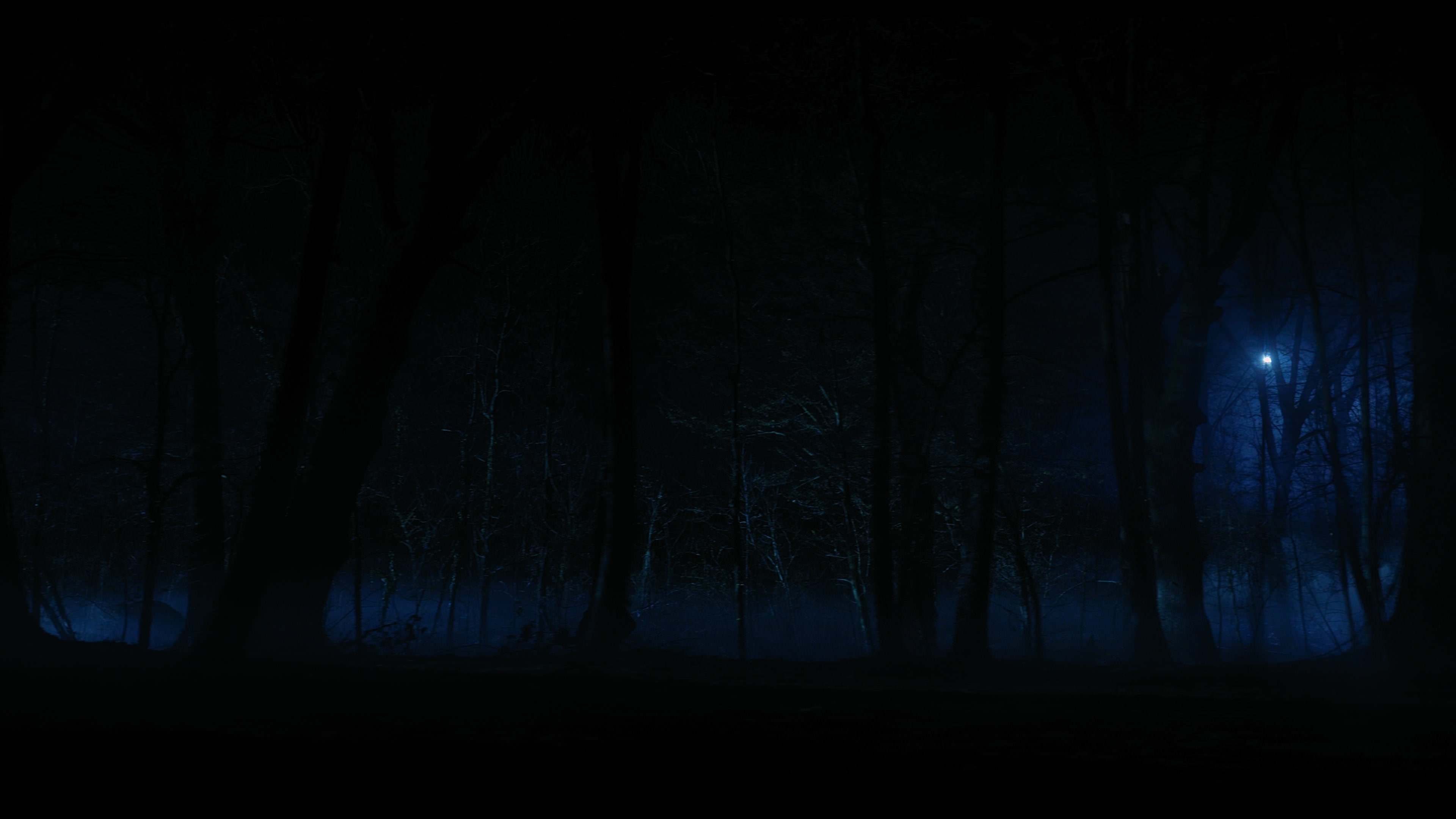 Wednesday S01E04 “Woe What a Night” screencap 6441