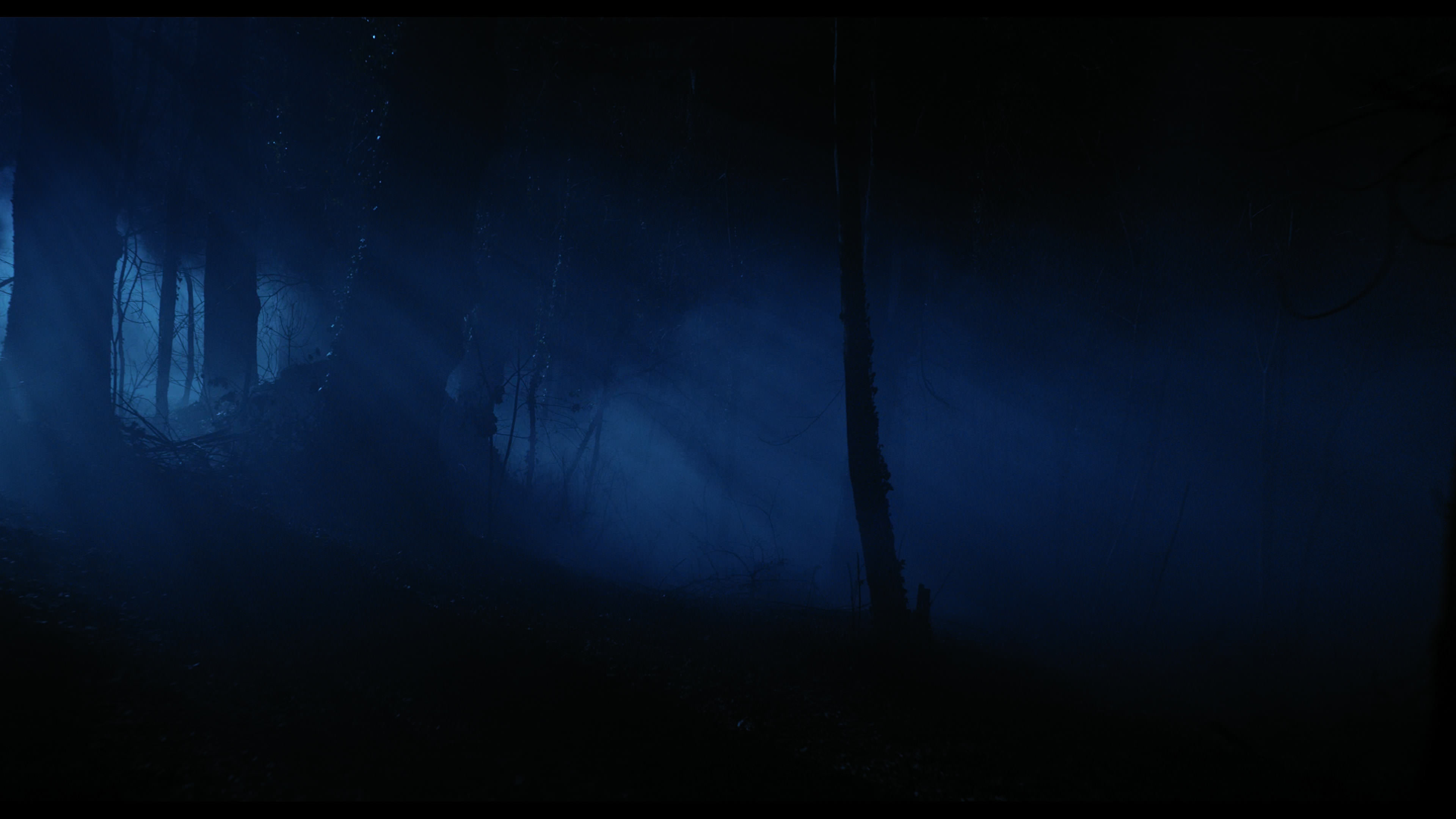 Wednesday S01E04 “Woe What a Night” screencap 6447