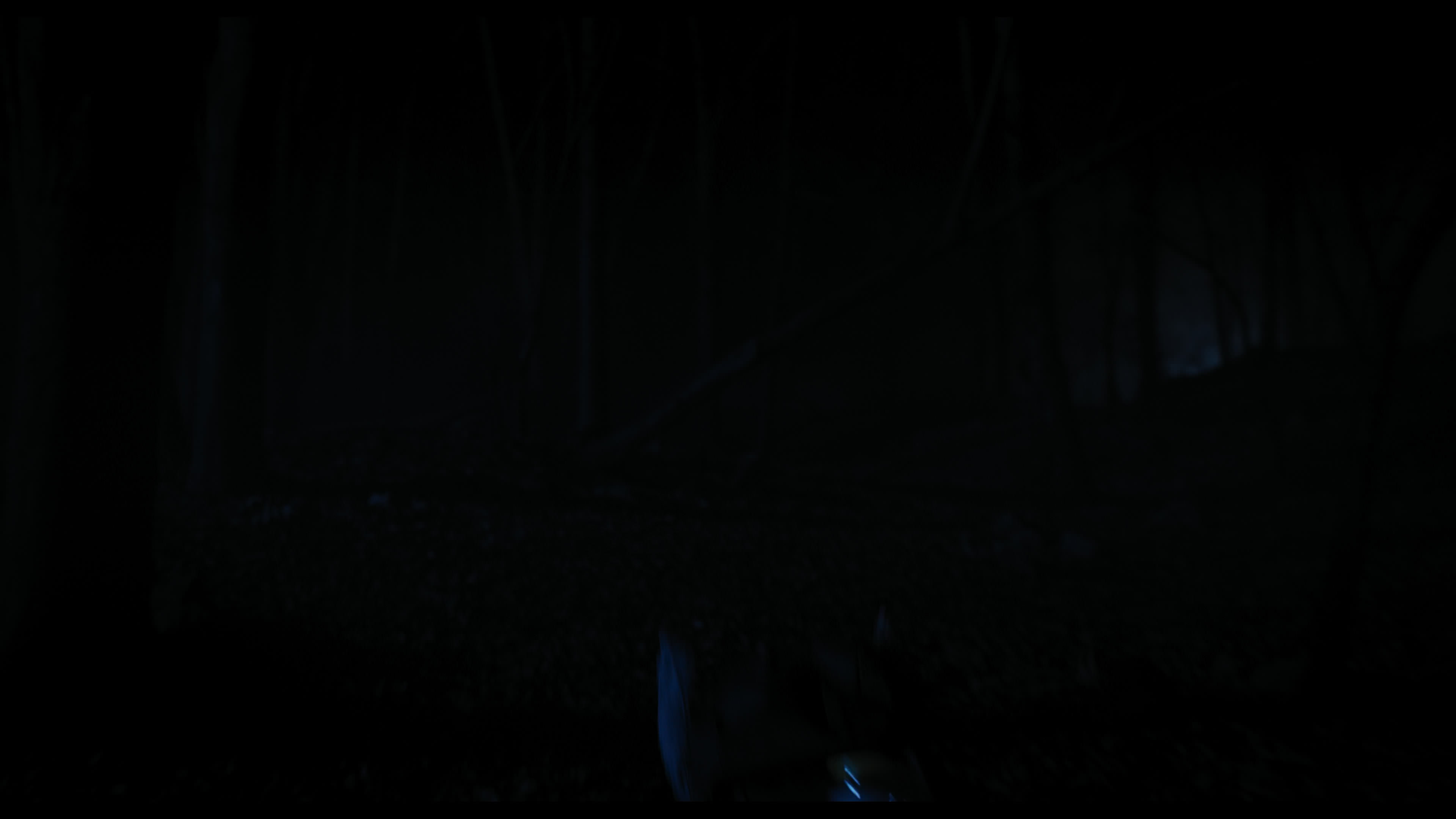 Wednesday S01E04 “Woe What a Night” movie still 6475