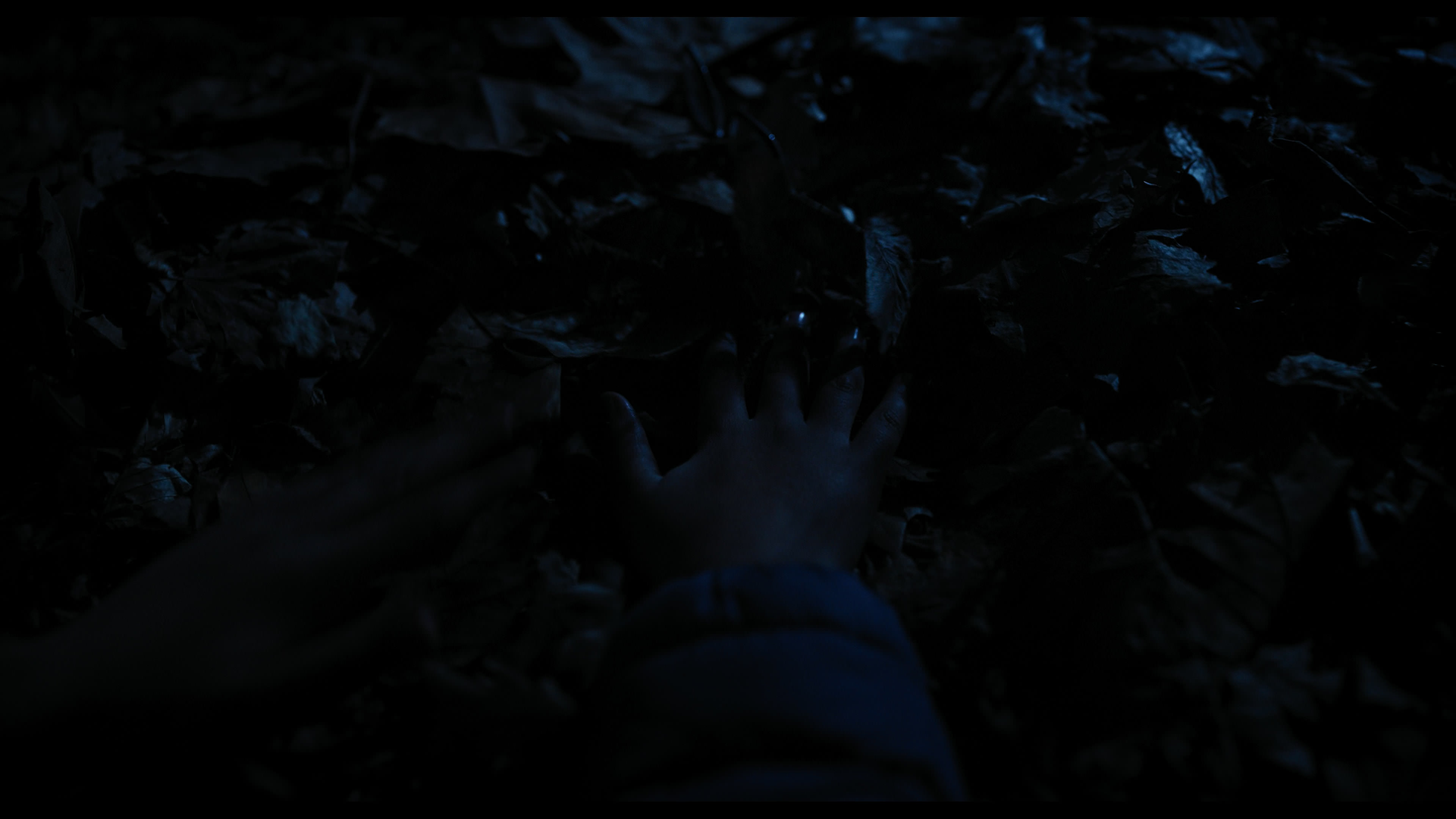 Wednesday S01E04 “Woe What a Night” movie still 6484