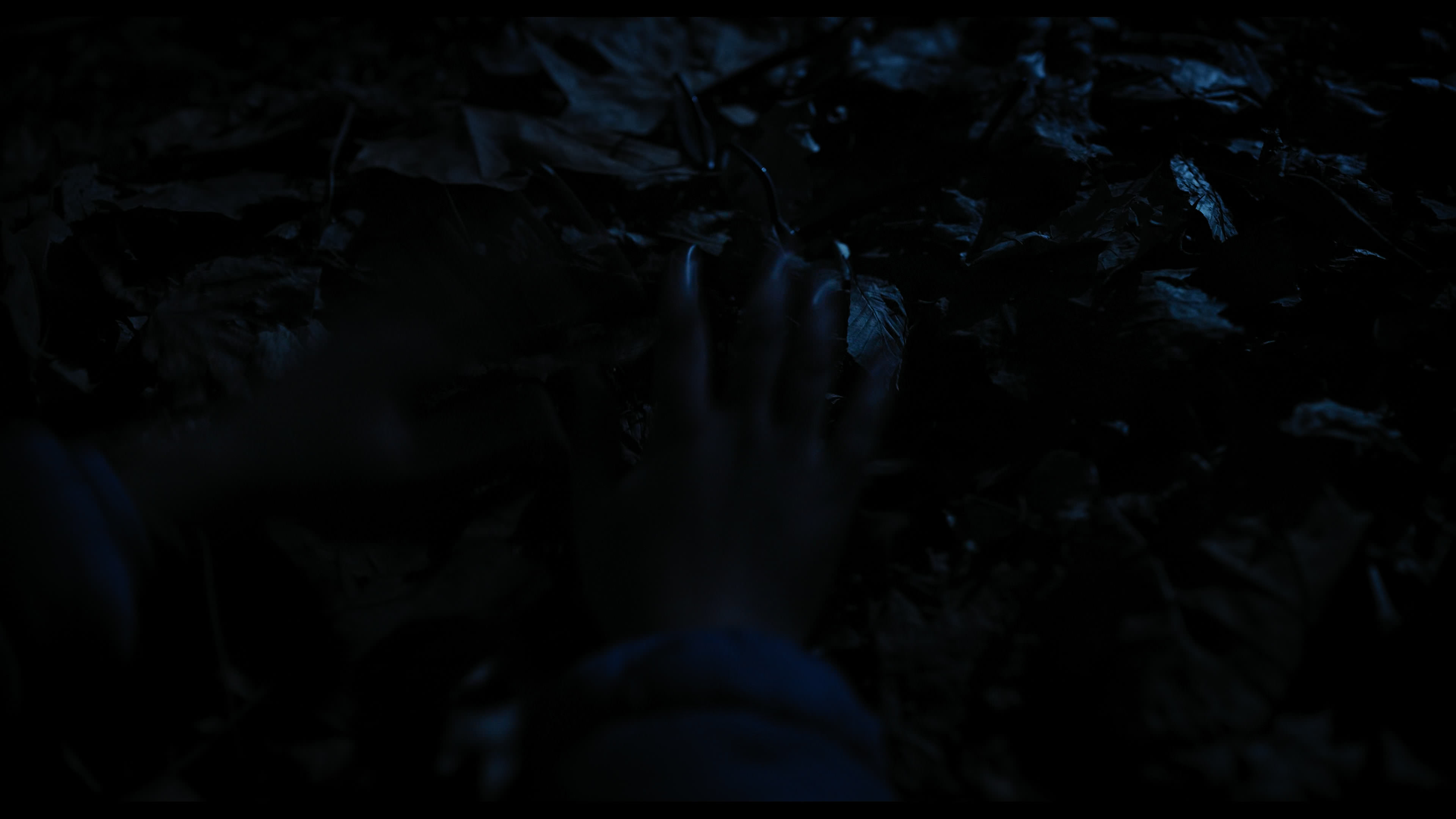 Wednesday S01E04 “Woe What a Night” HD screenshot 6485
