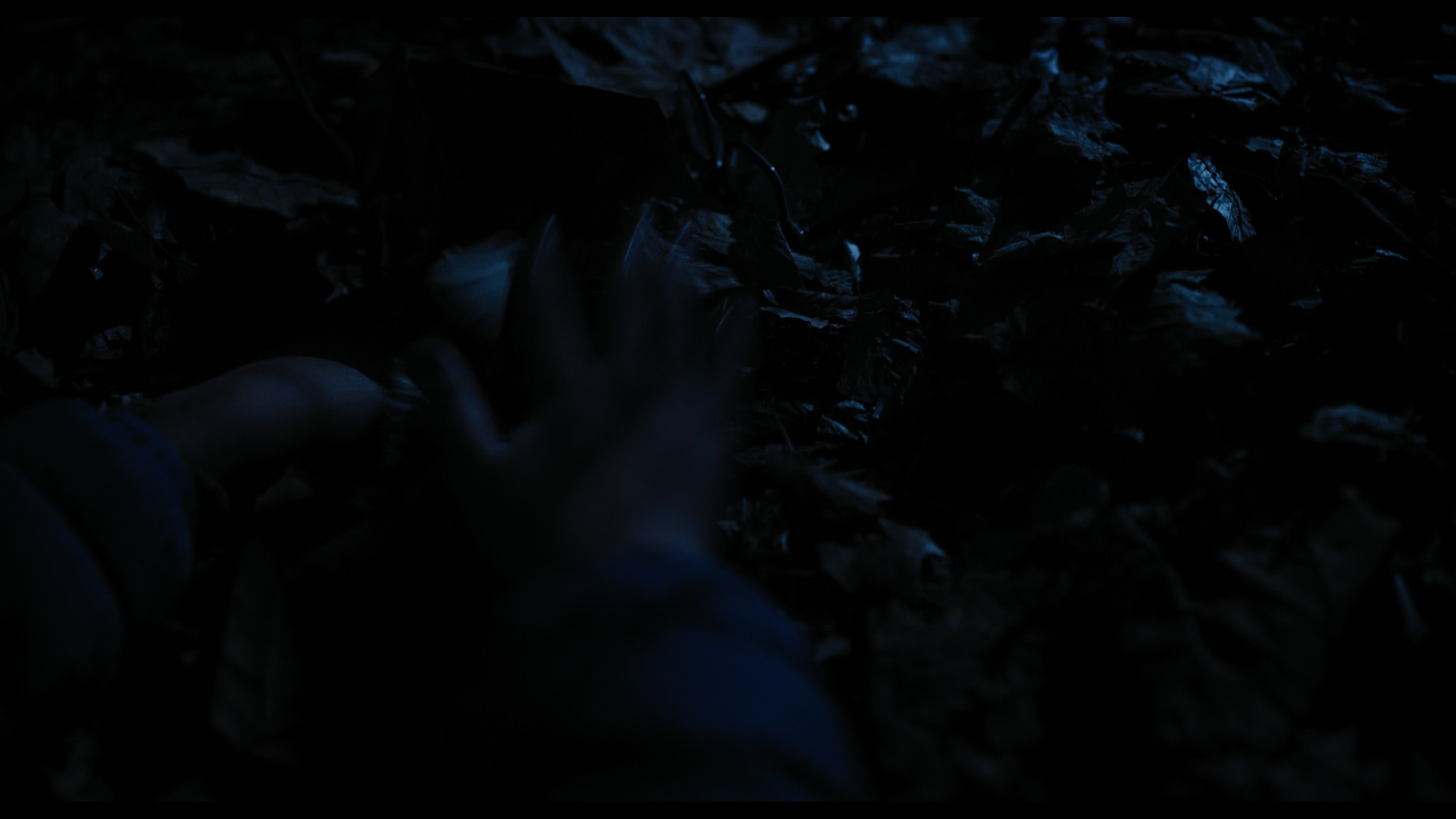 Wednesday S01E04 “Woe What a Night” screencap 6486