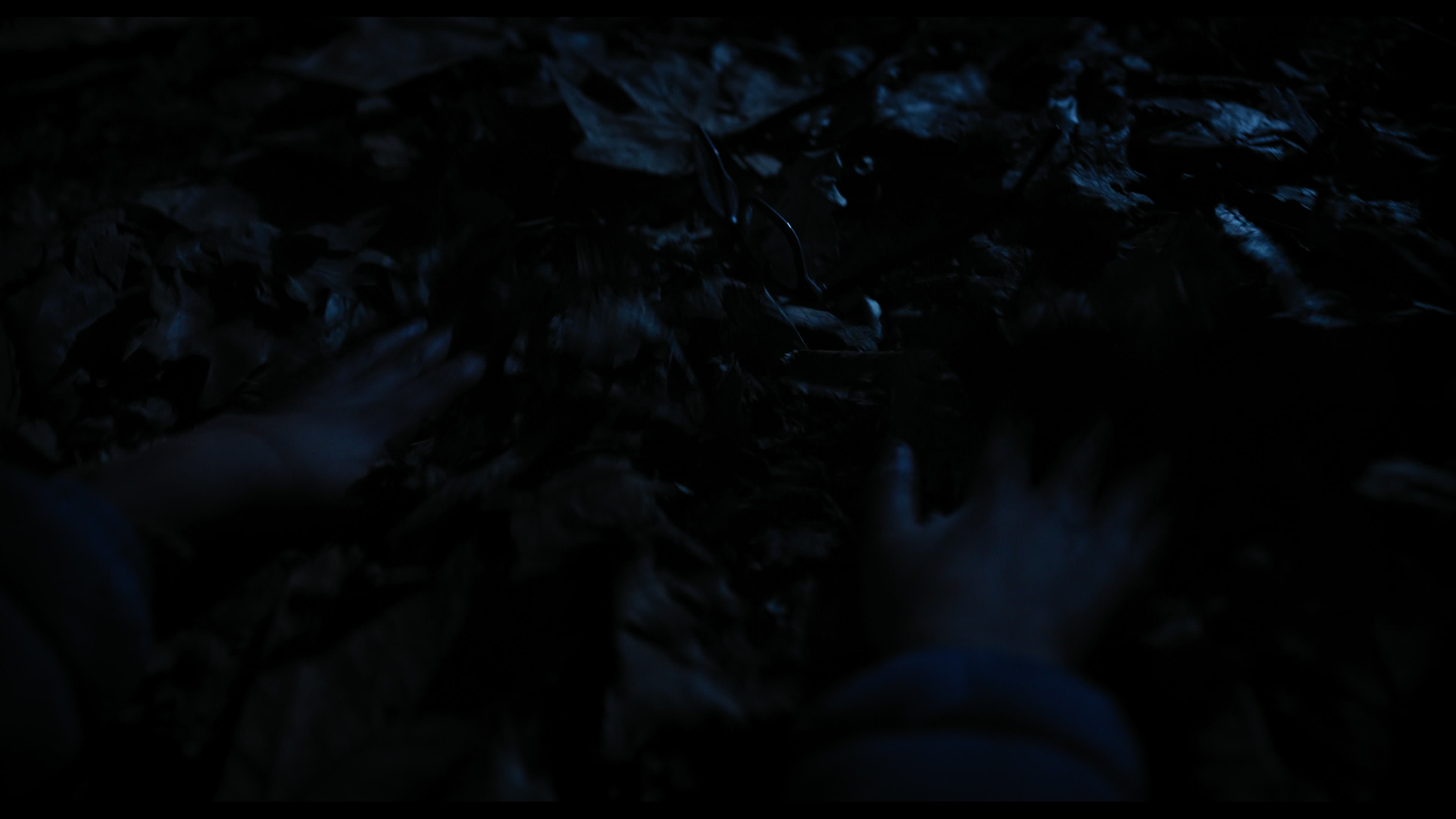 Wednesday S01E04 “Woe What a Night” movie still 6487