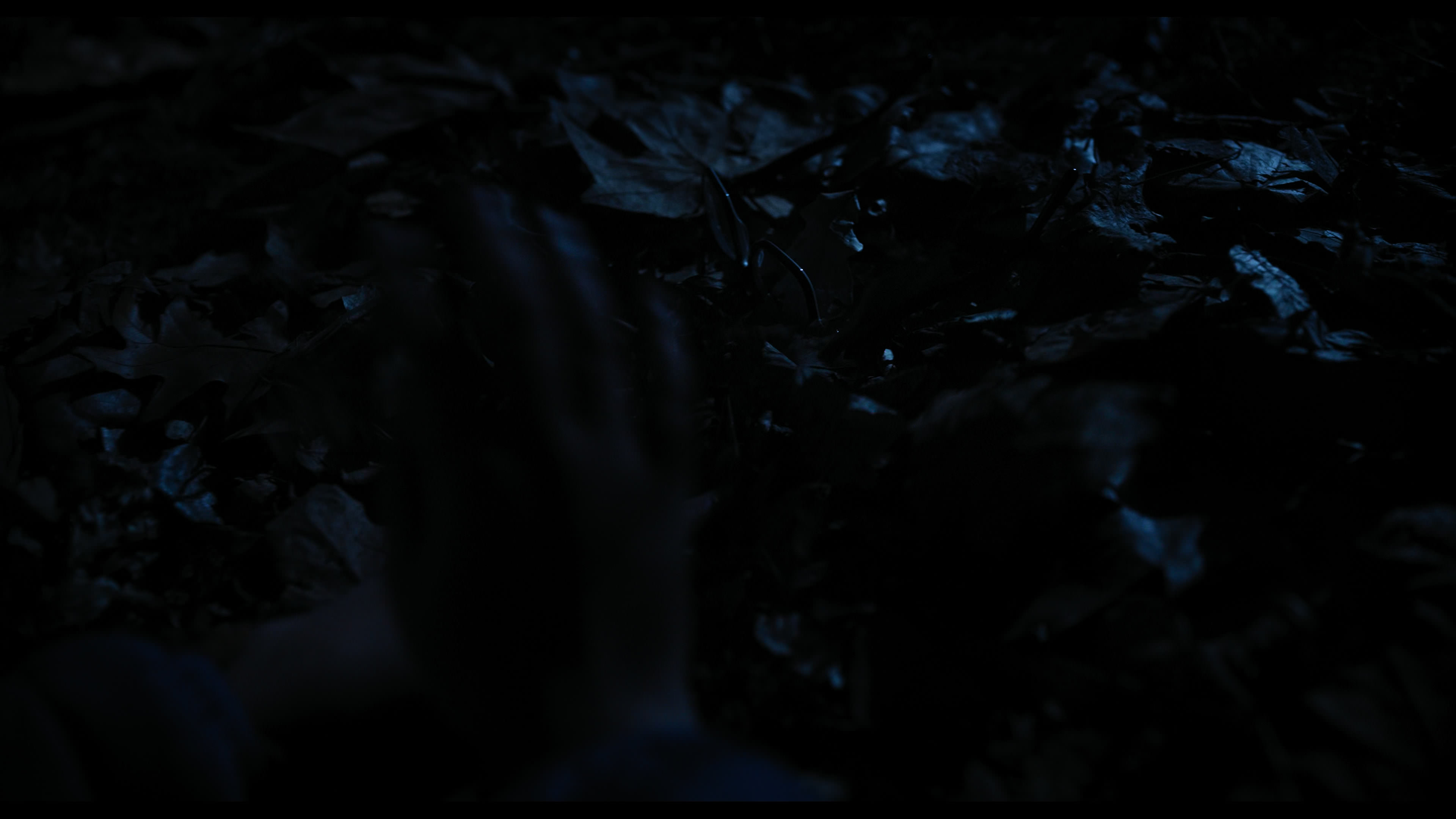 Wednesday S01E04 “Woe What a Night” HD screenshot 6488