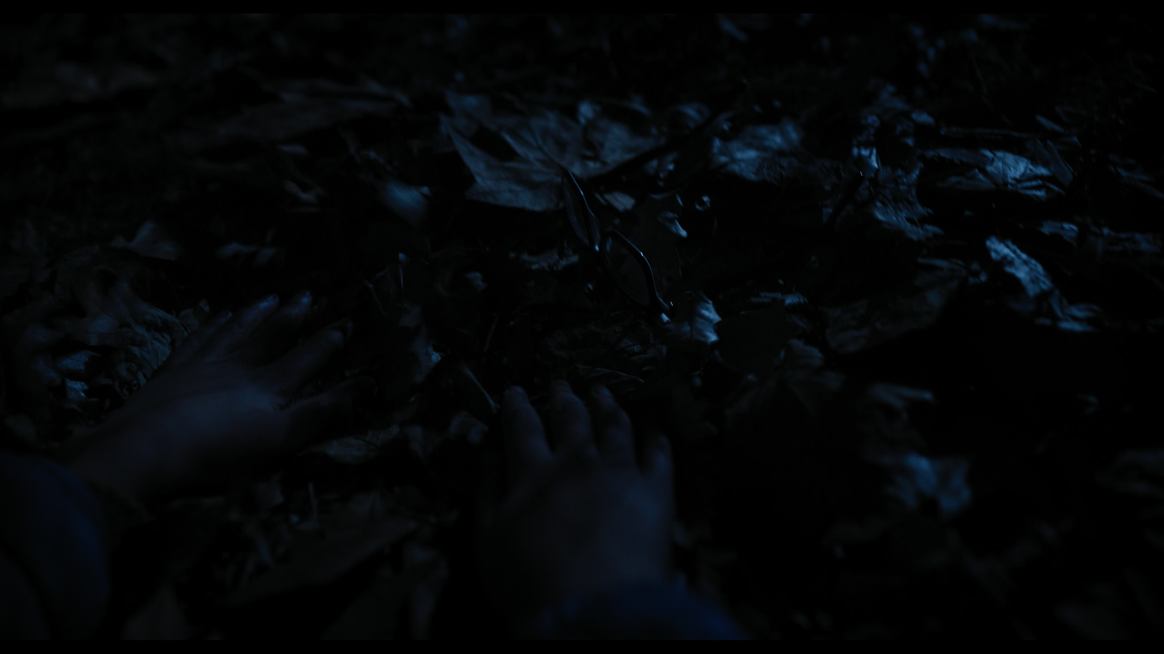 Wednesday S01E04 “Woe What a Night” screencap 6489