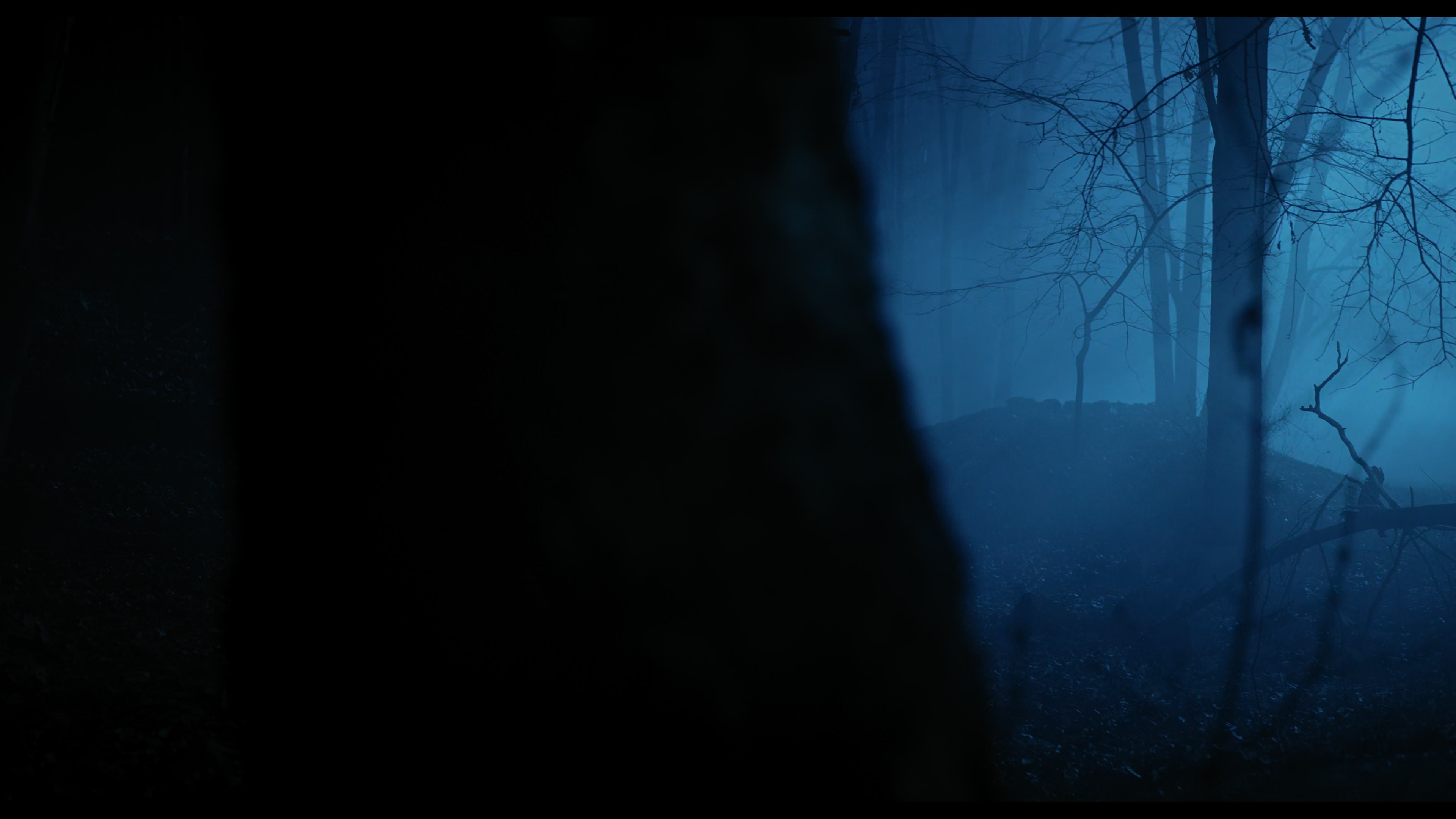 Wednesday S01E04 “Woe What a Night” movie still 6499