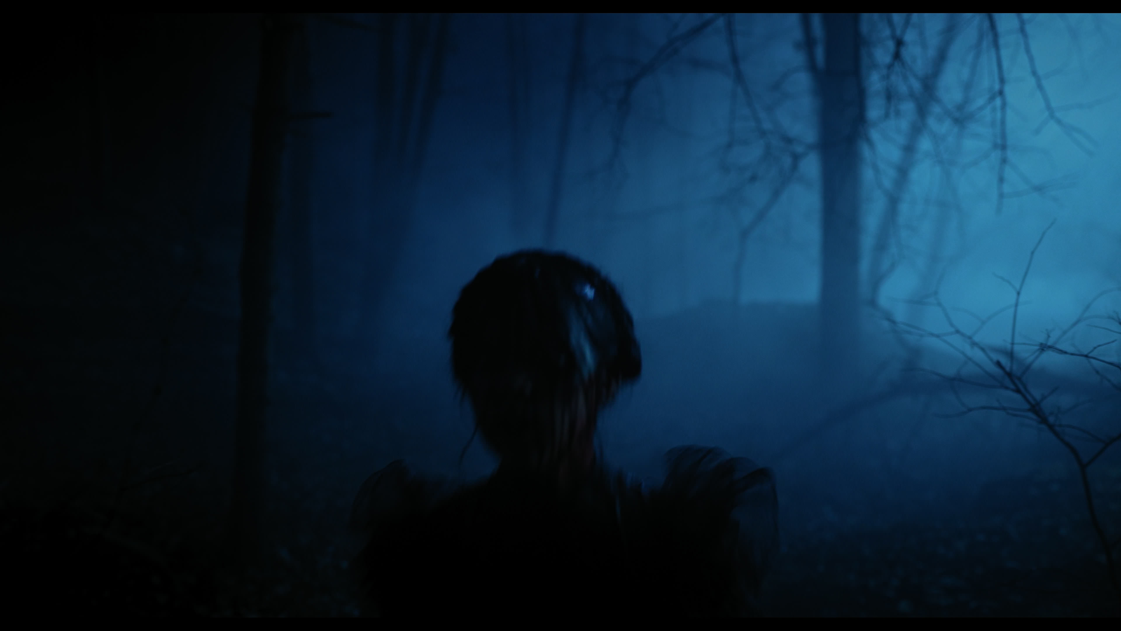 Wednesday S01E04 “Woe What a Night” movie still 6505
