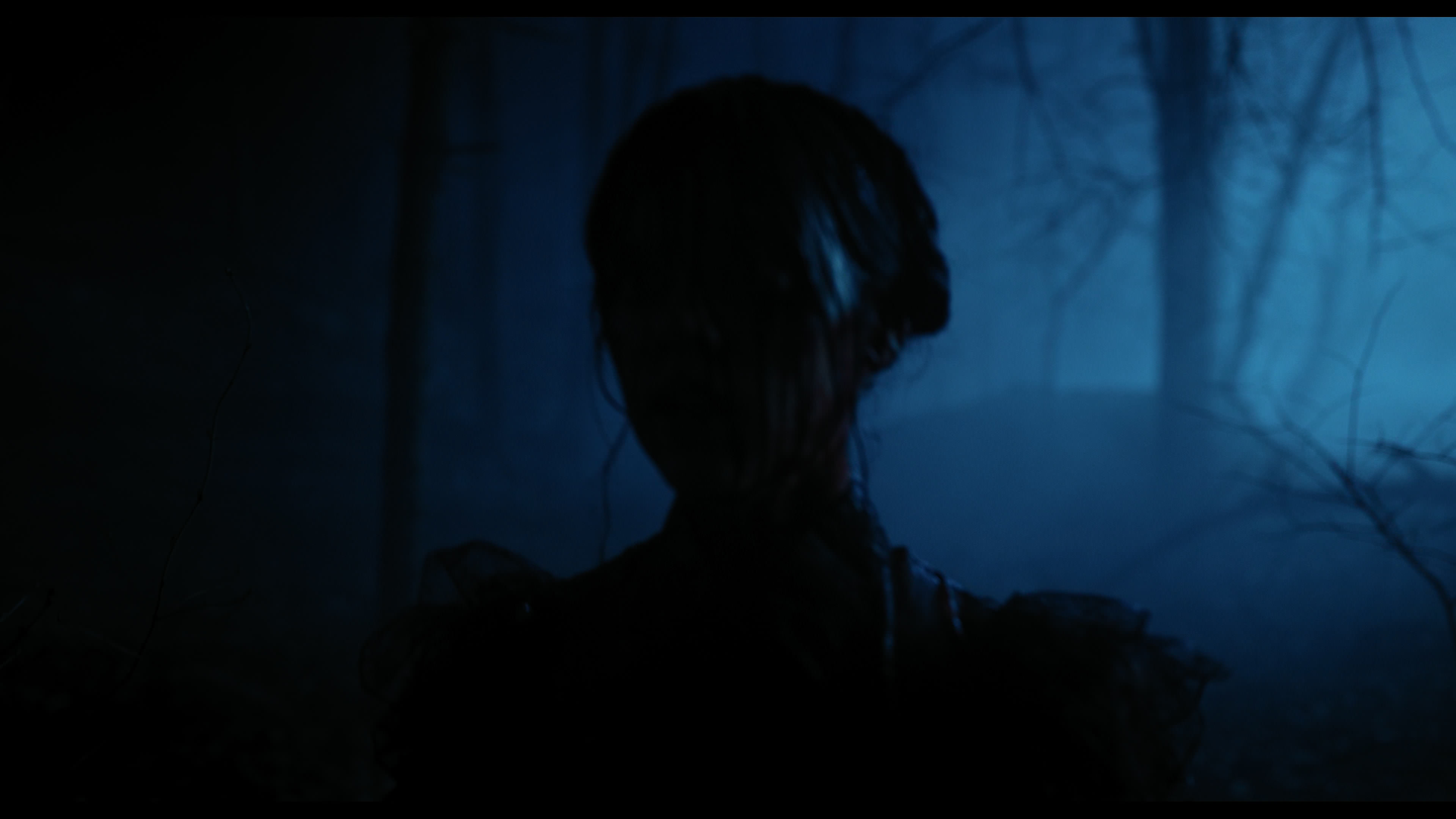 Wednesday S01E04 “Woe What a Night” HD screenshot 6506