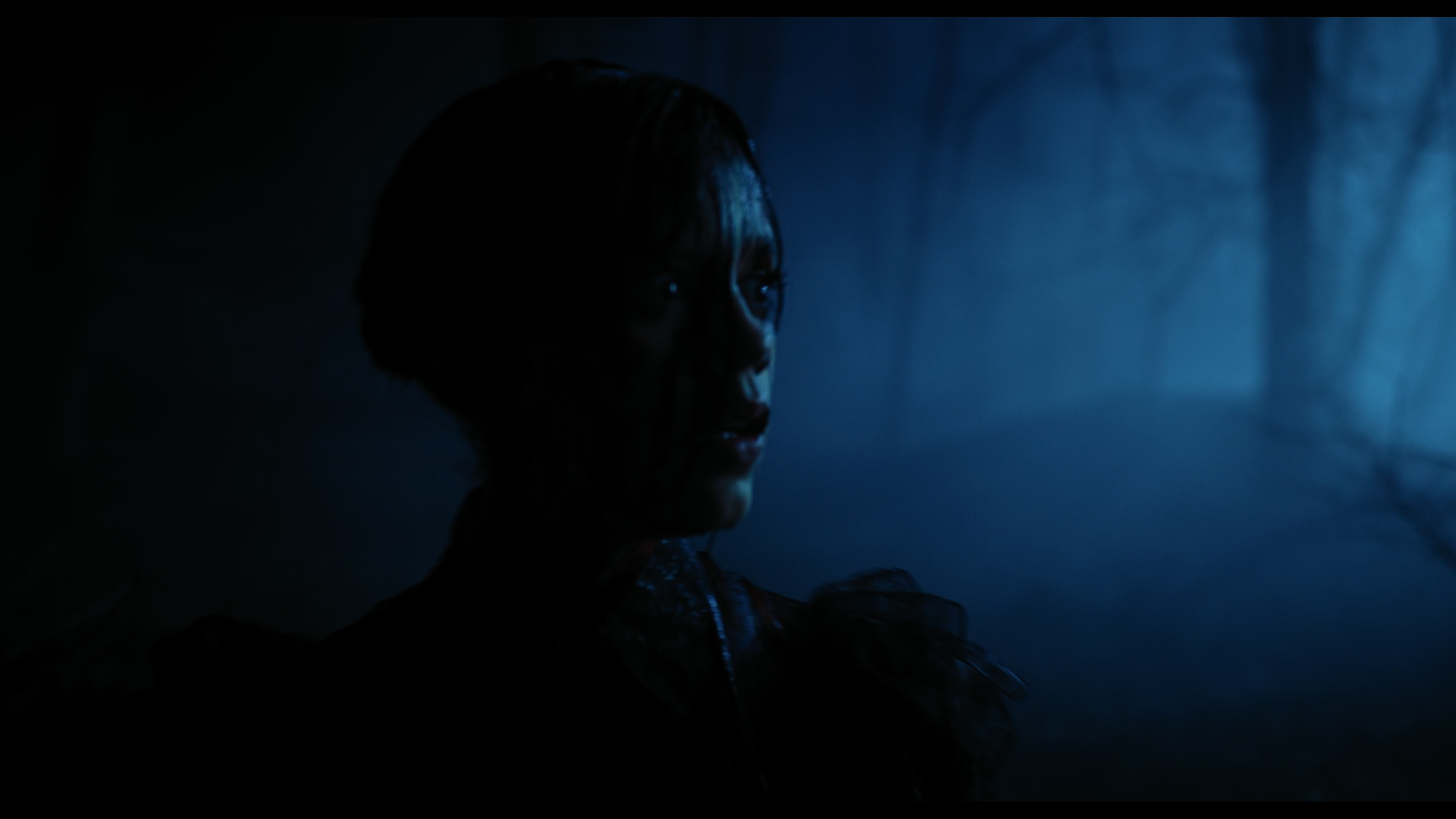 Wednesday S01E04 “Woe What a Night” screencap 6507