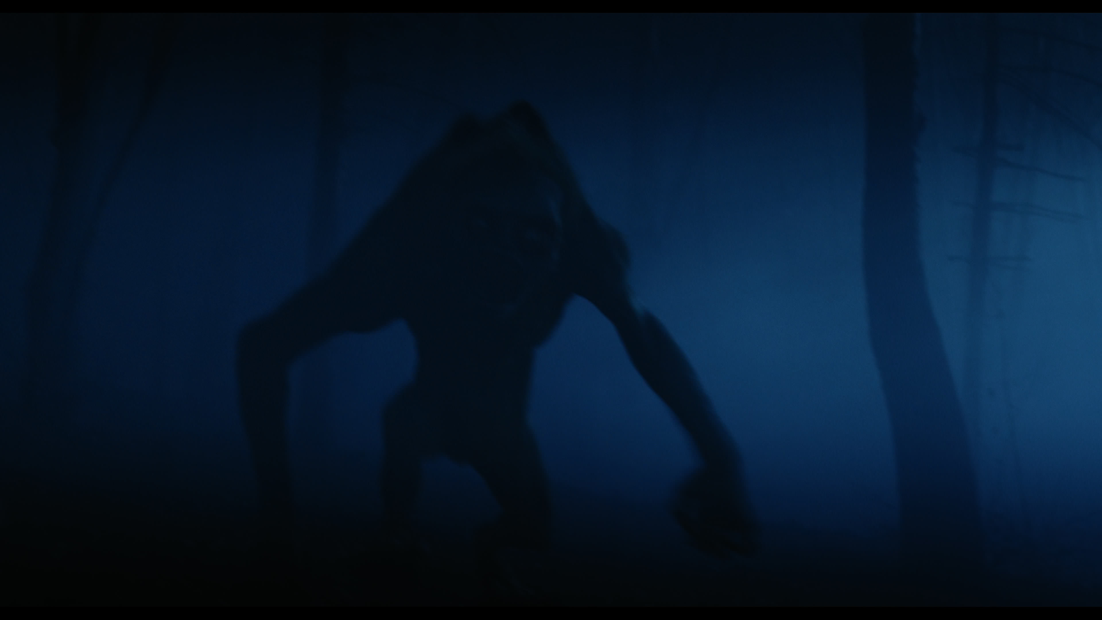 Wednesday S01E04 “Woe What a Night” HD screenshot 6545