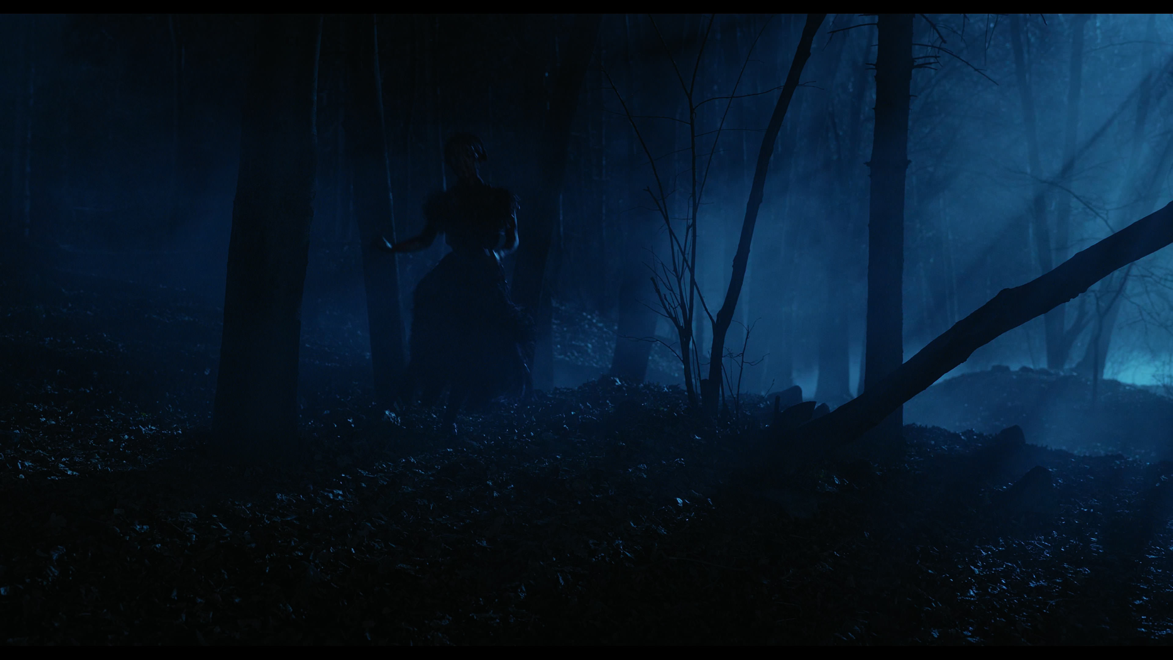 Wednesday S01E04 “Woe What a Night” screencap 6555
