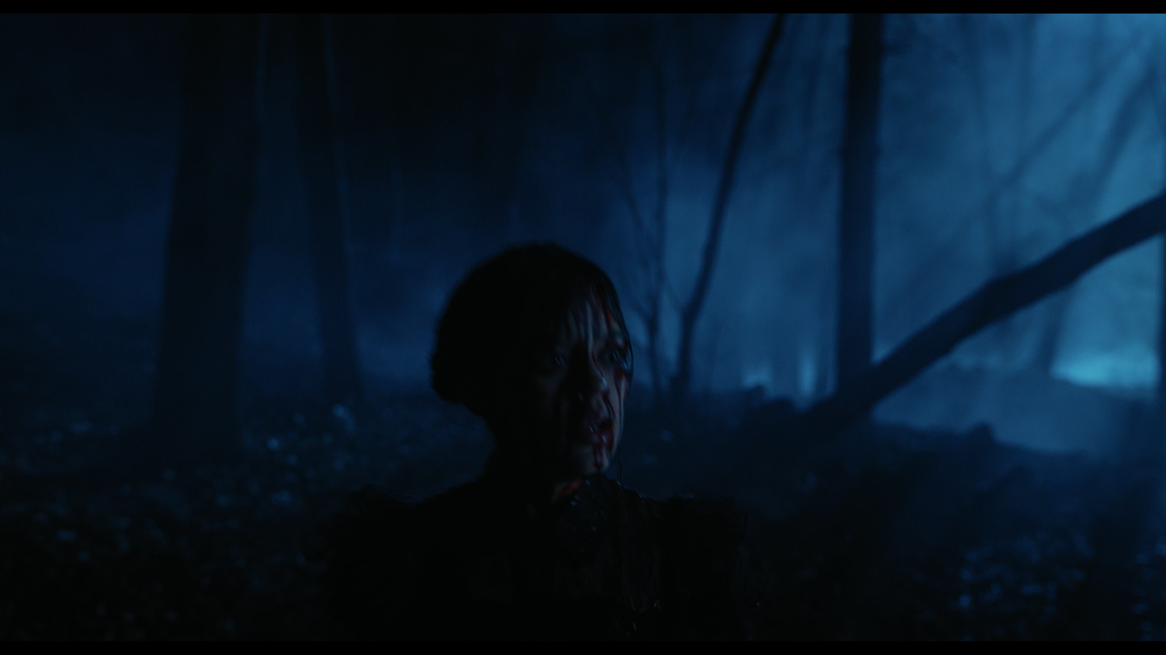 Wednesday S01E04 “Woe What a Night” movie still 6559