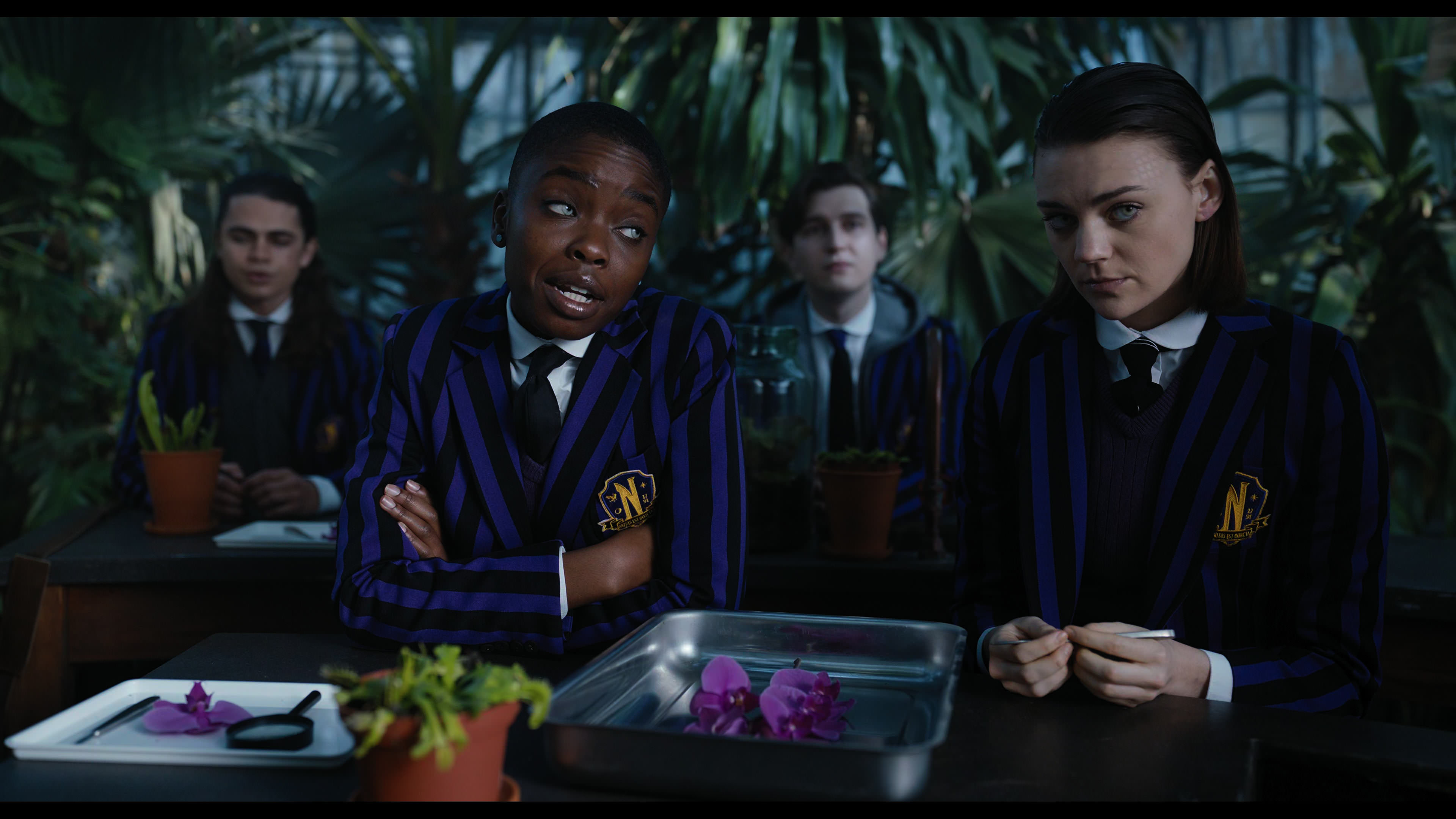 Wednesday S01E04 “Woe What a Night” HD screenshot 854