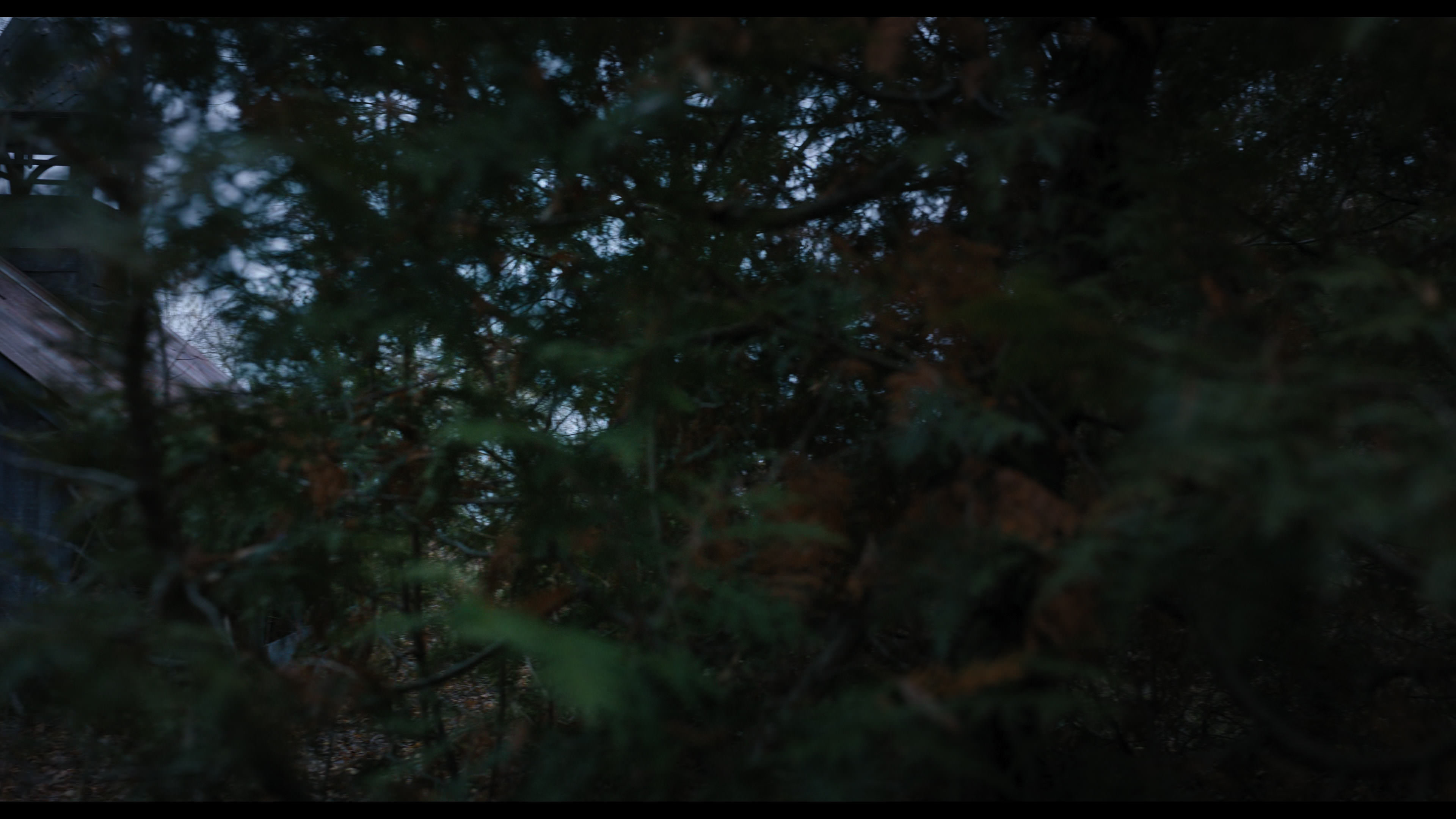 Wednesday S01E04 “Woe What a Night” screencap 954